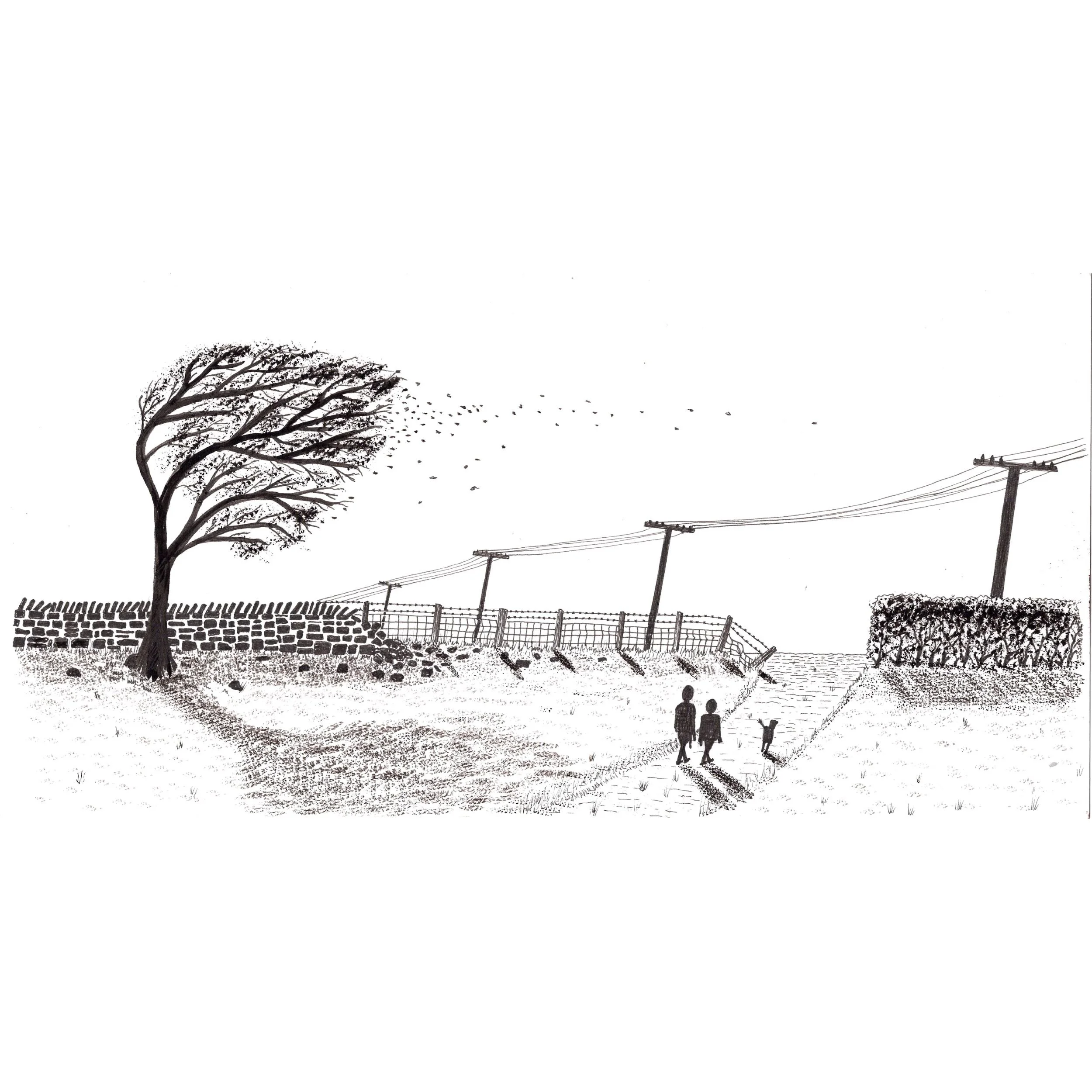 A Windswept Walk