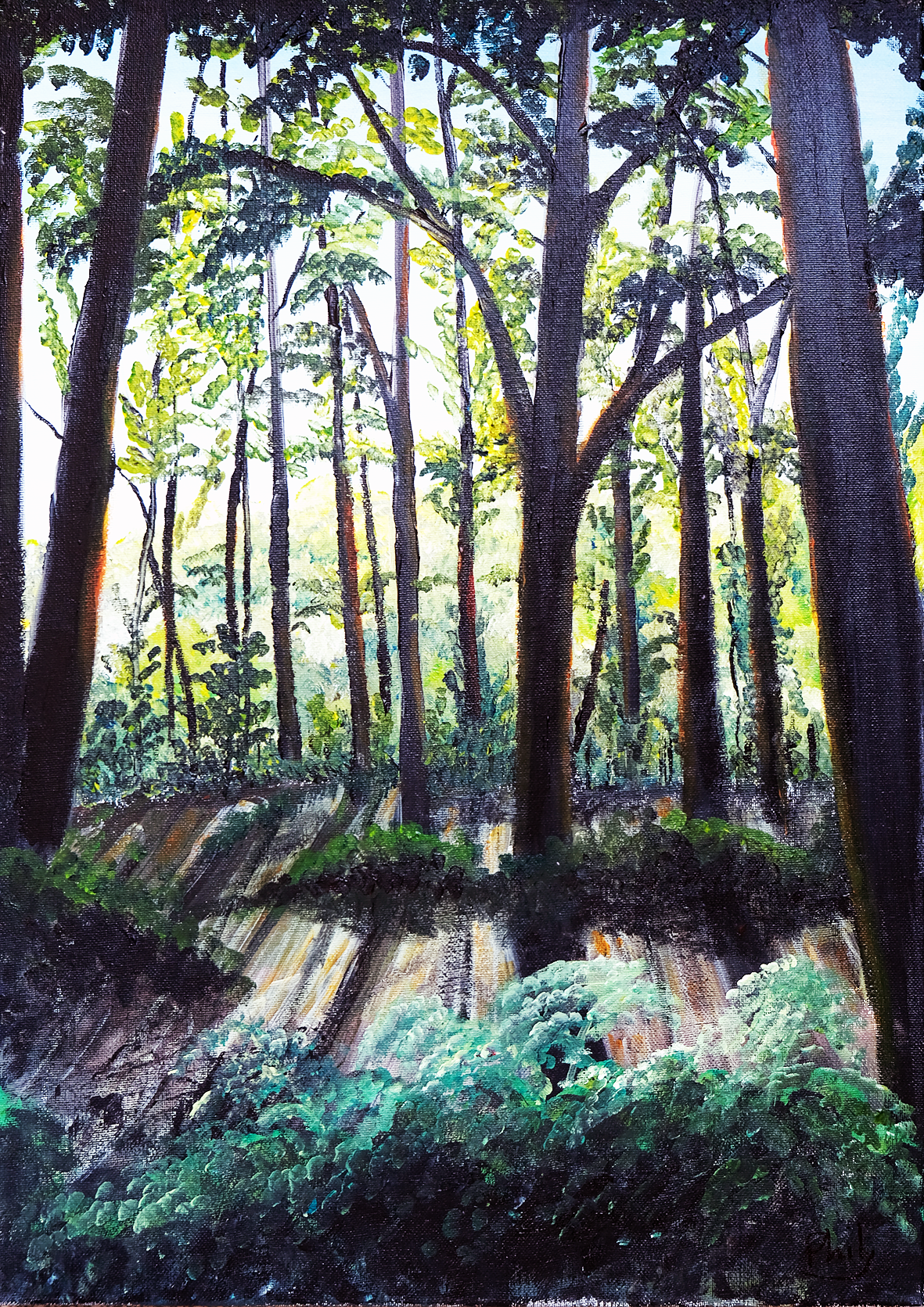 TTThrough the glades 2 Phil edit for web.png