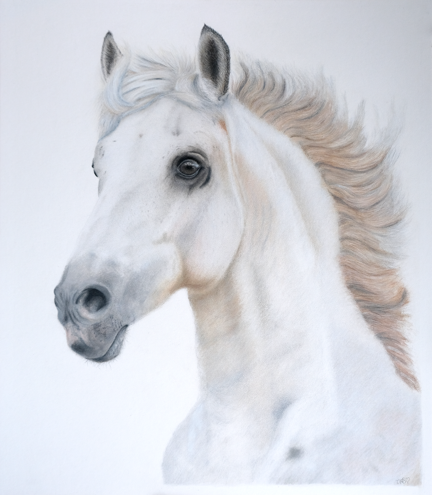 Full of Fire Jacqui web.png