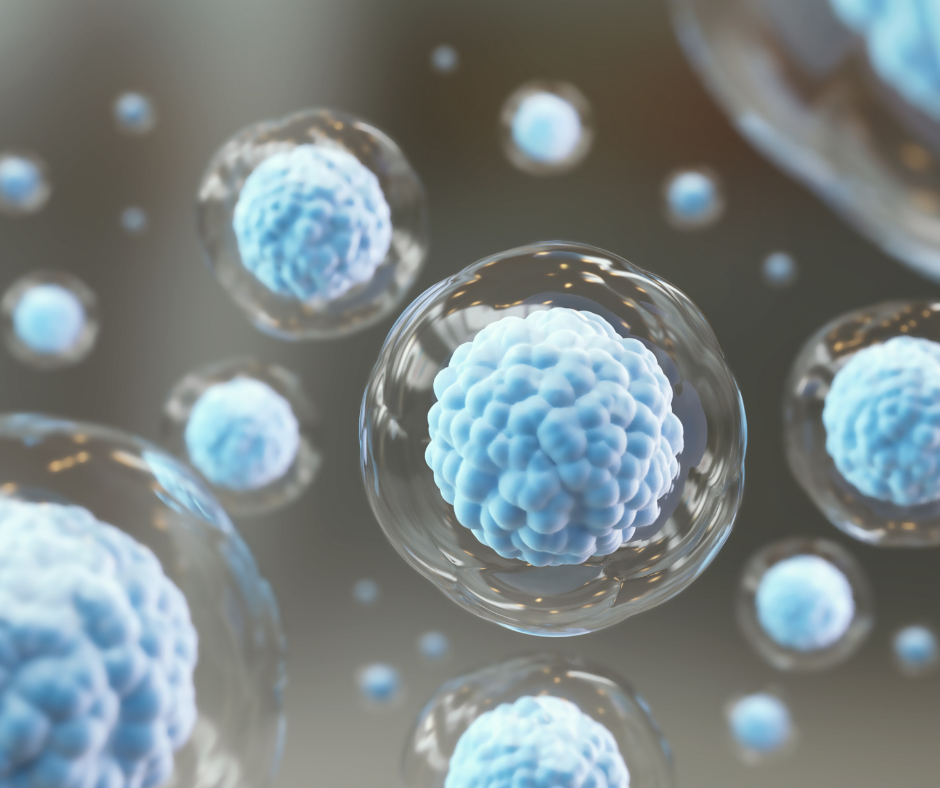 What Is Stem Cell Therapy? | Mountain Surgery Center