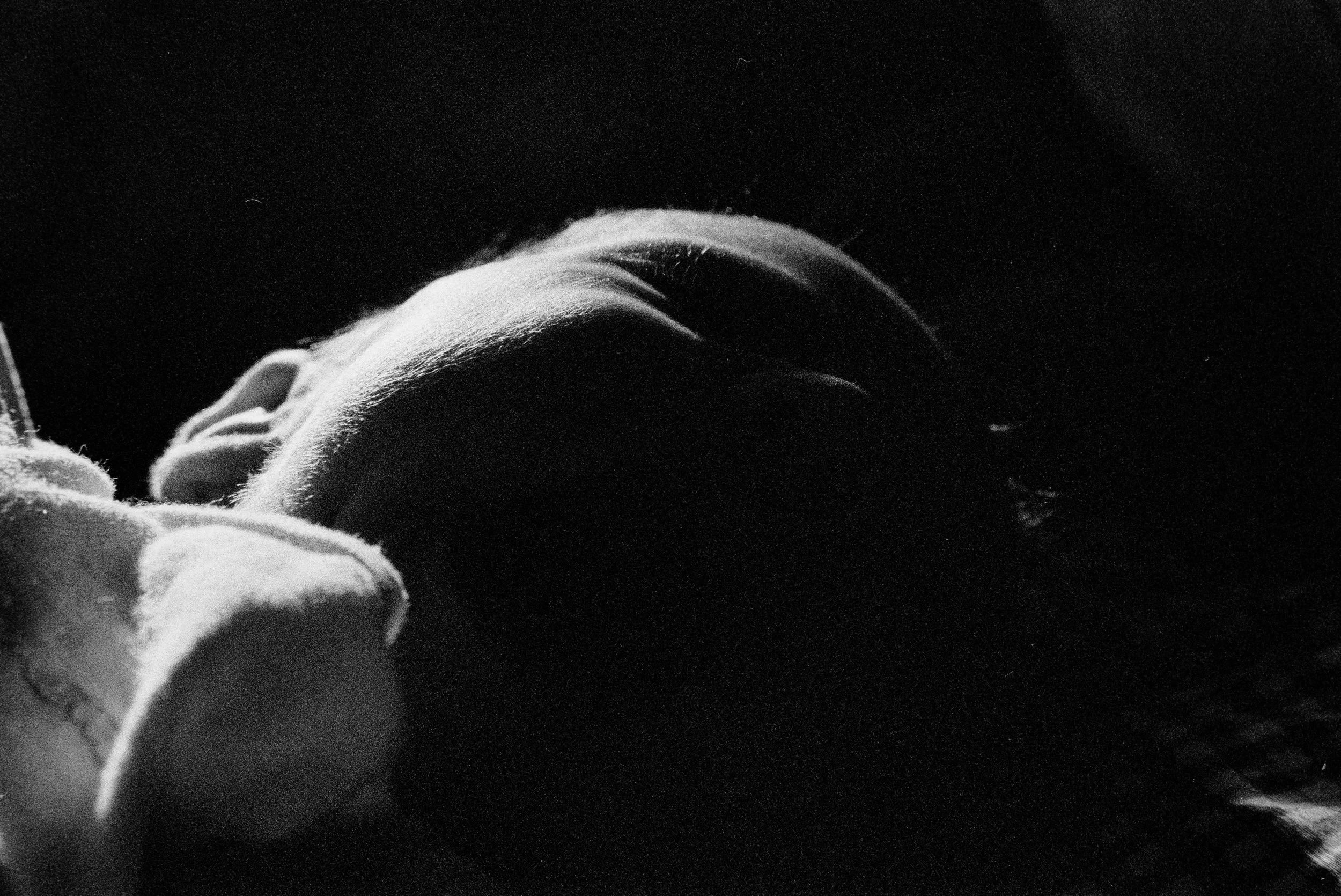 5854_03.jpg