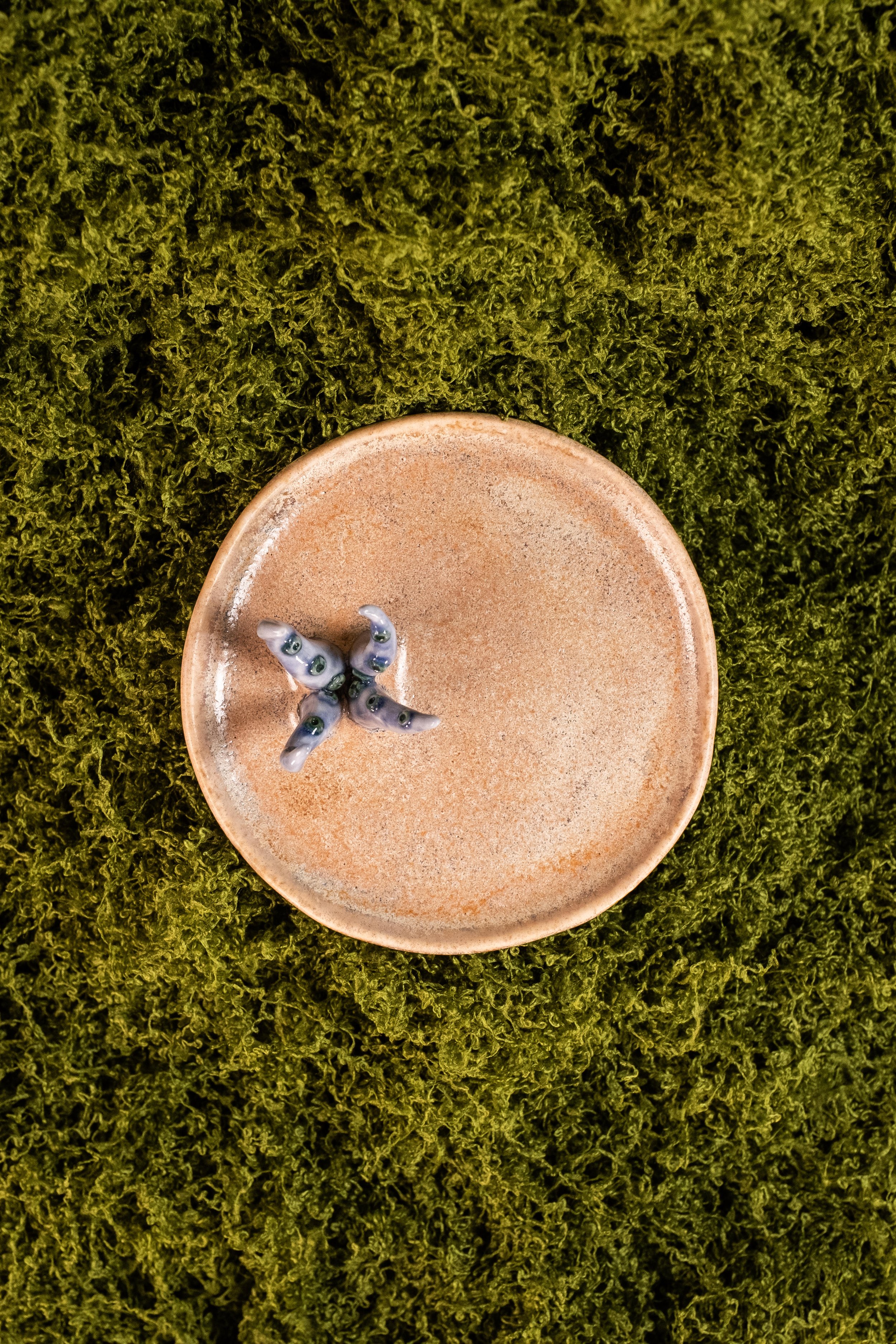 Rachel Codd Ceramics-7.jpg