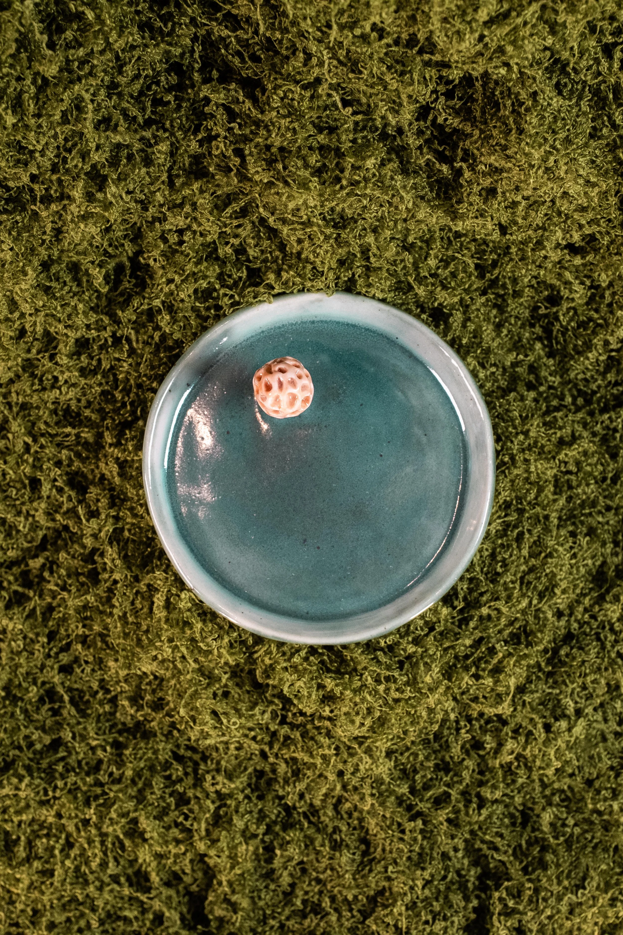 Rachel Codd Ceramics-19.jpg