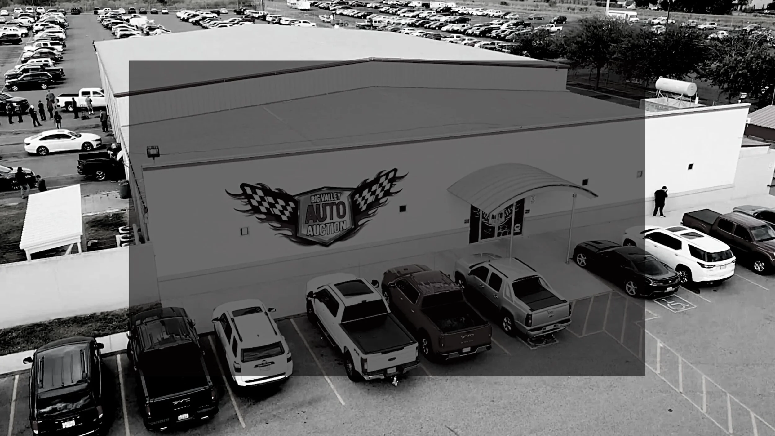 Customer Satisfaction Survey — Big Valley Auto Auction