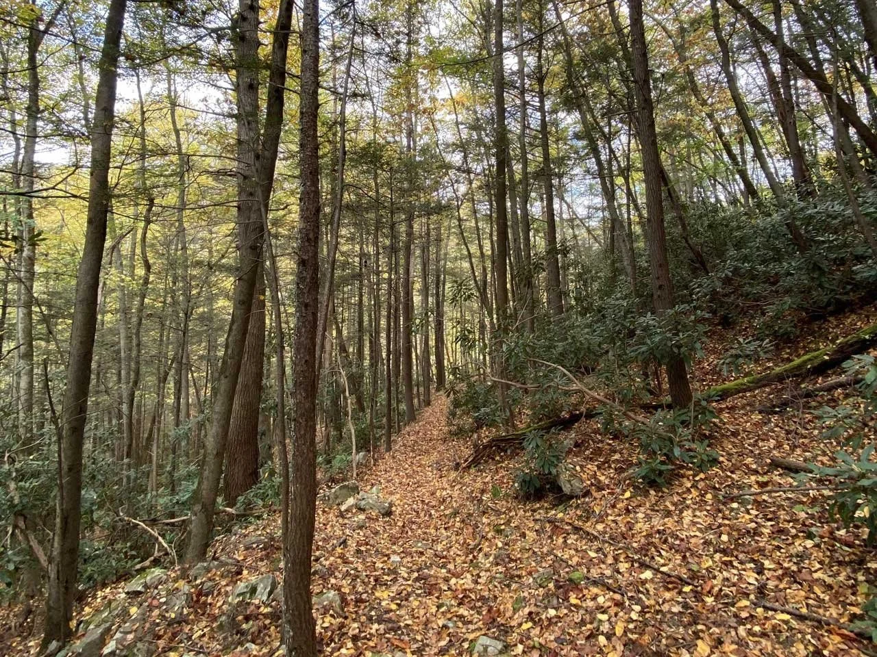 Camp Branch Trail — Breaks Interstate Park