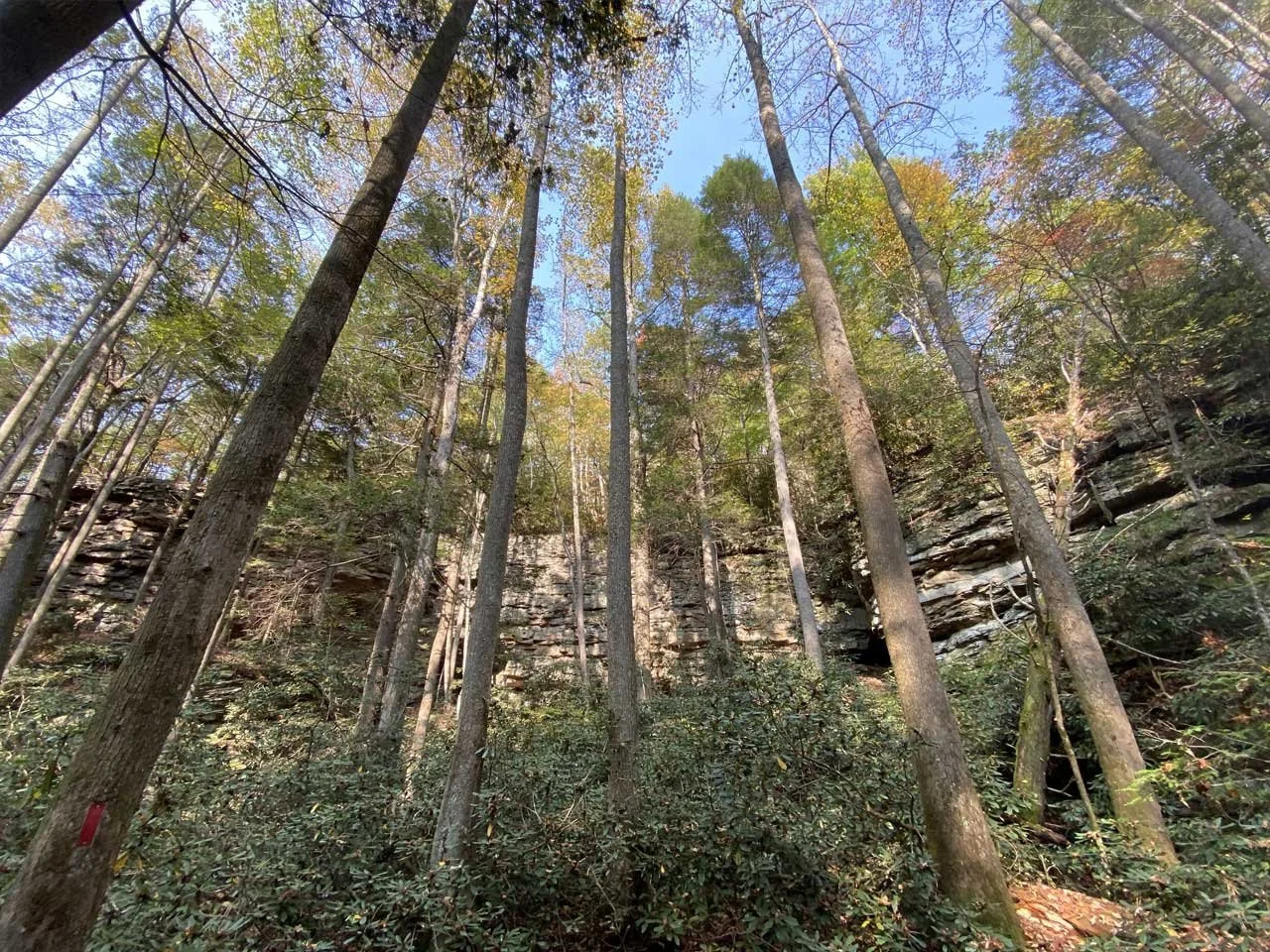 Laurel Branch Trail — Breaks Interstate Park