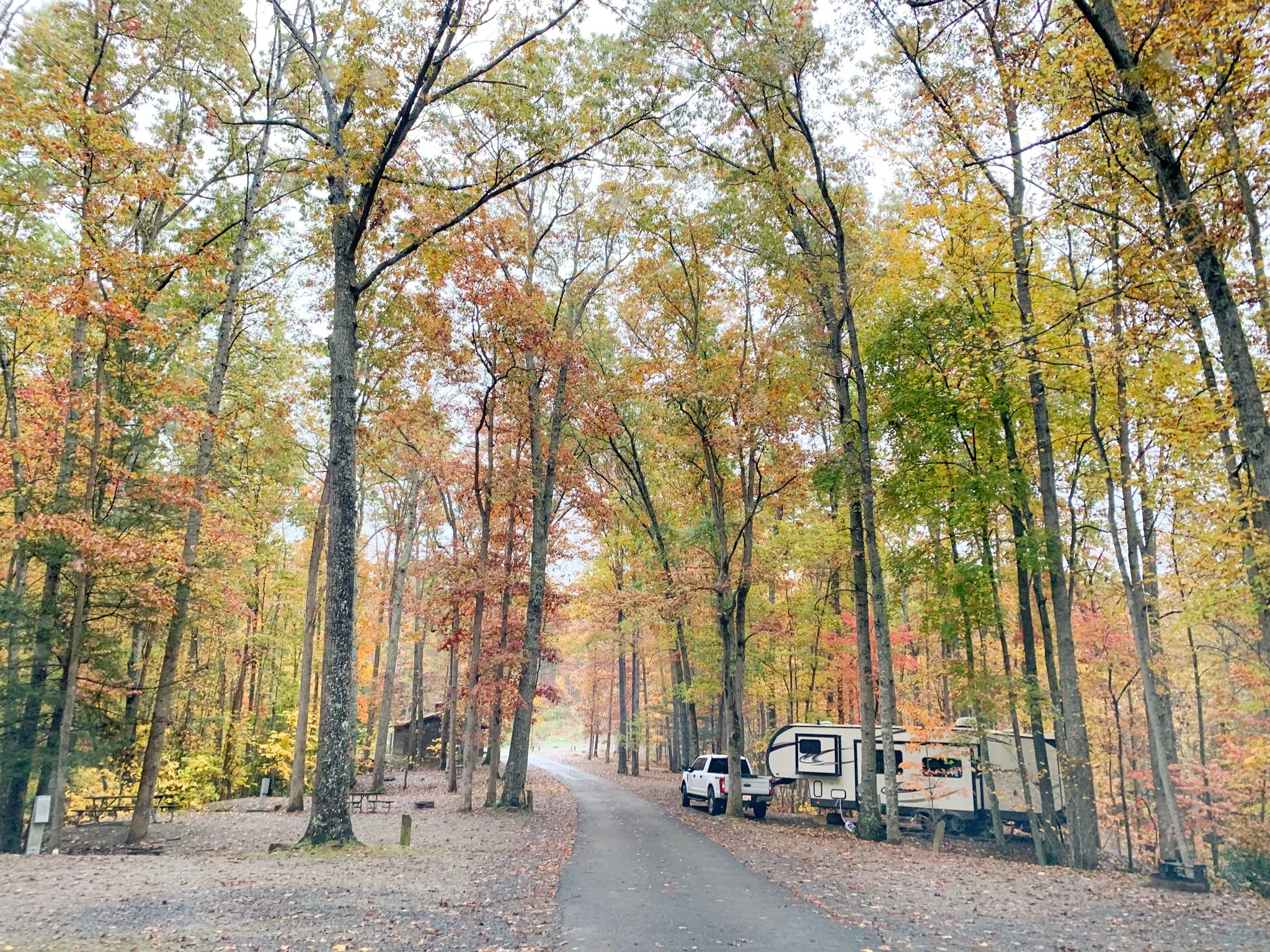Campground — Breaks Interstate Park