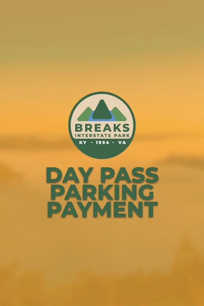 DAY PASS PARKING image.jpg