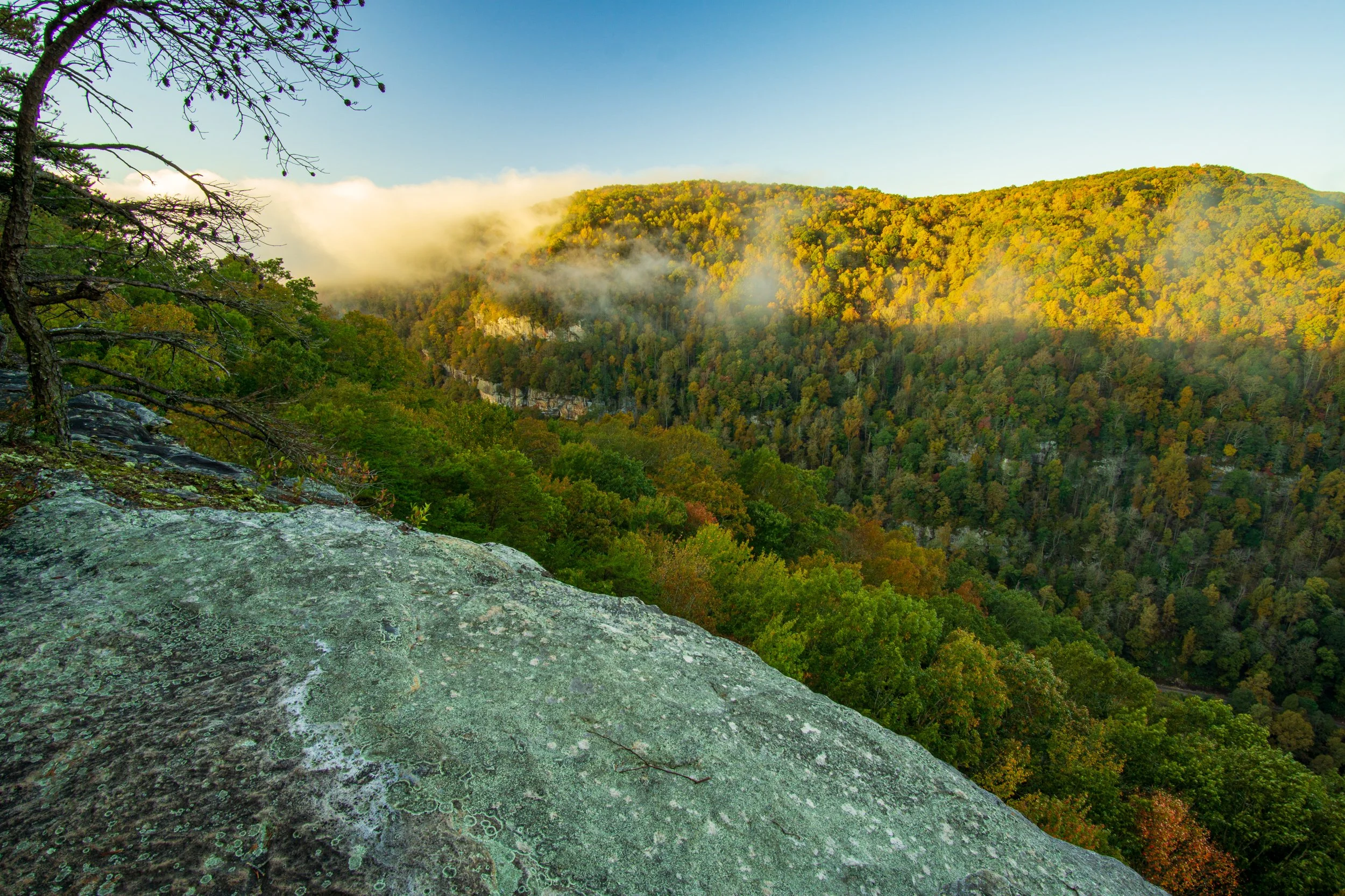 A beautiful fall morning along the Overlook Trail