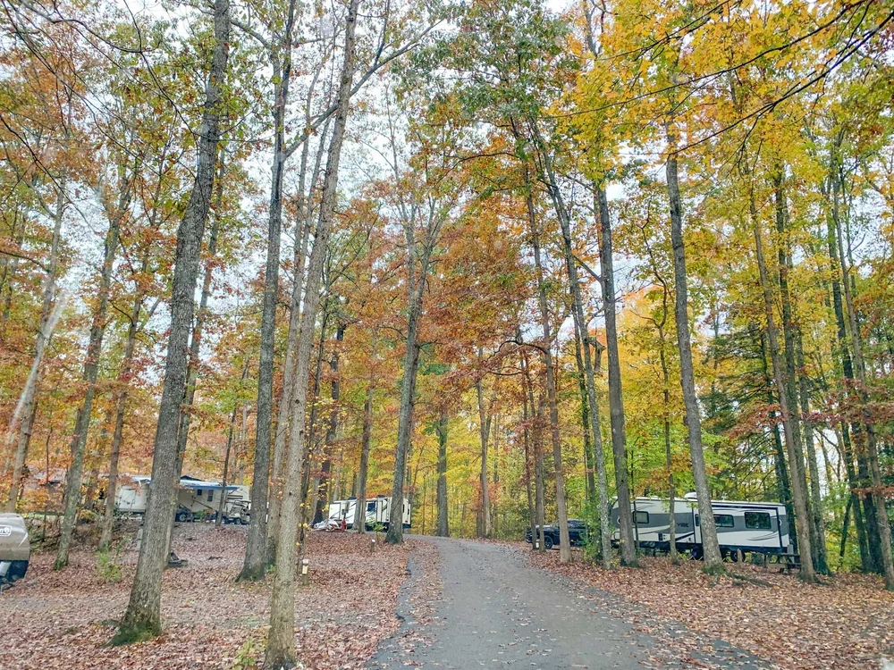 Campground — Breaks Interstate Park