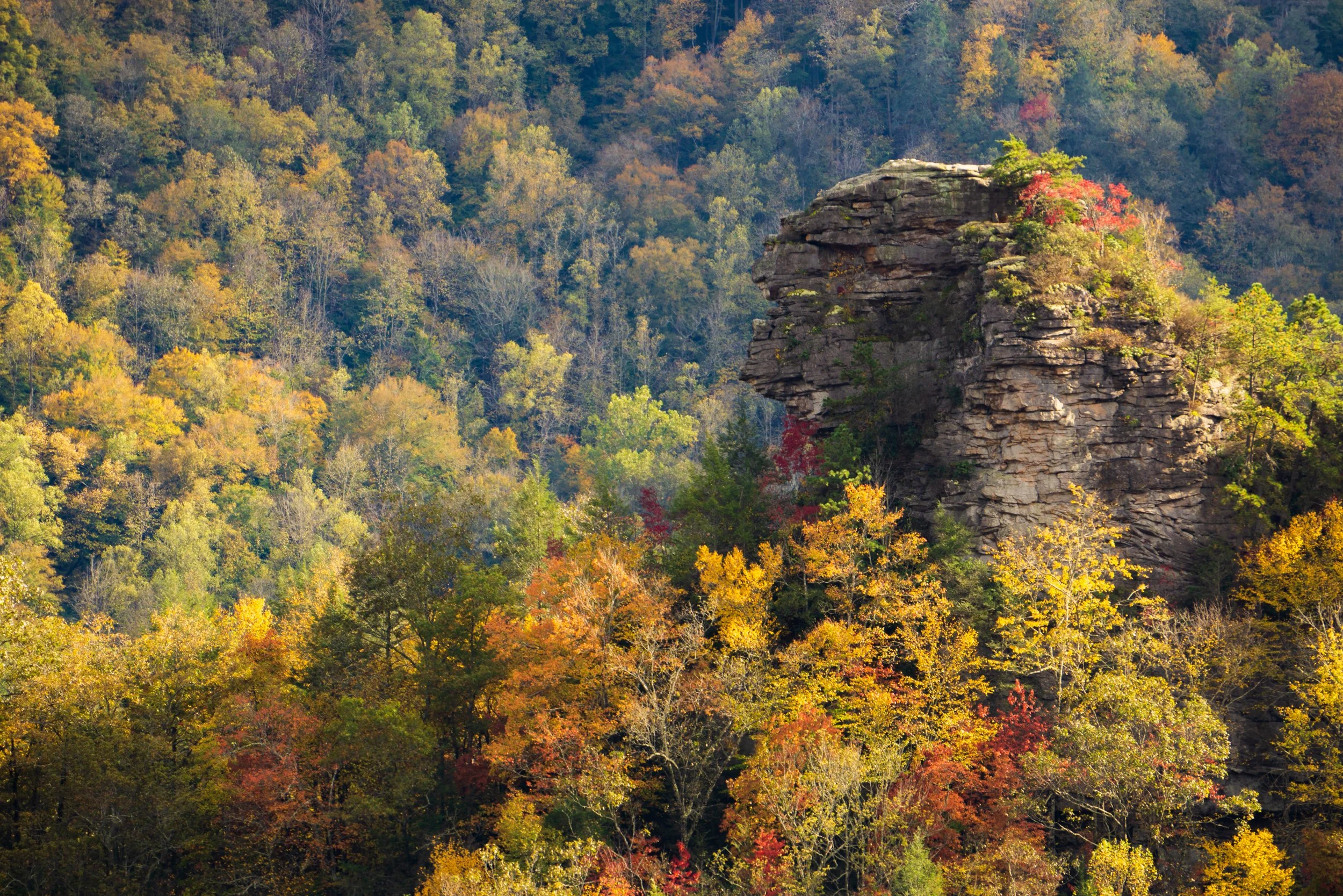 Chimneys in peak fall color