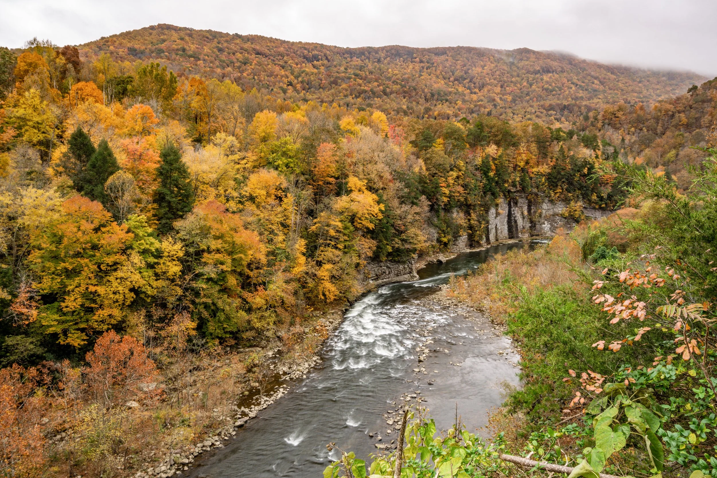 Fall at the Russell Fork Overlook