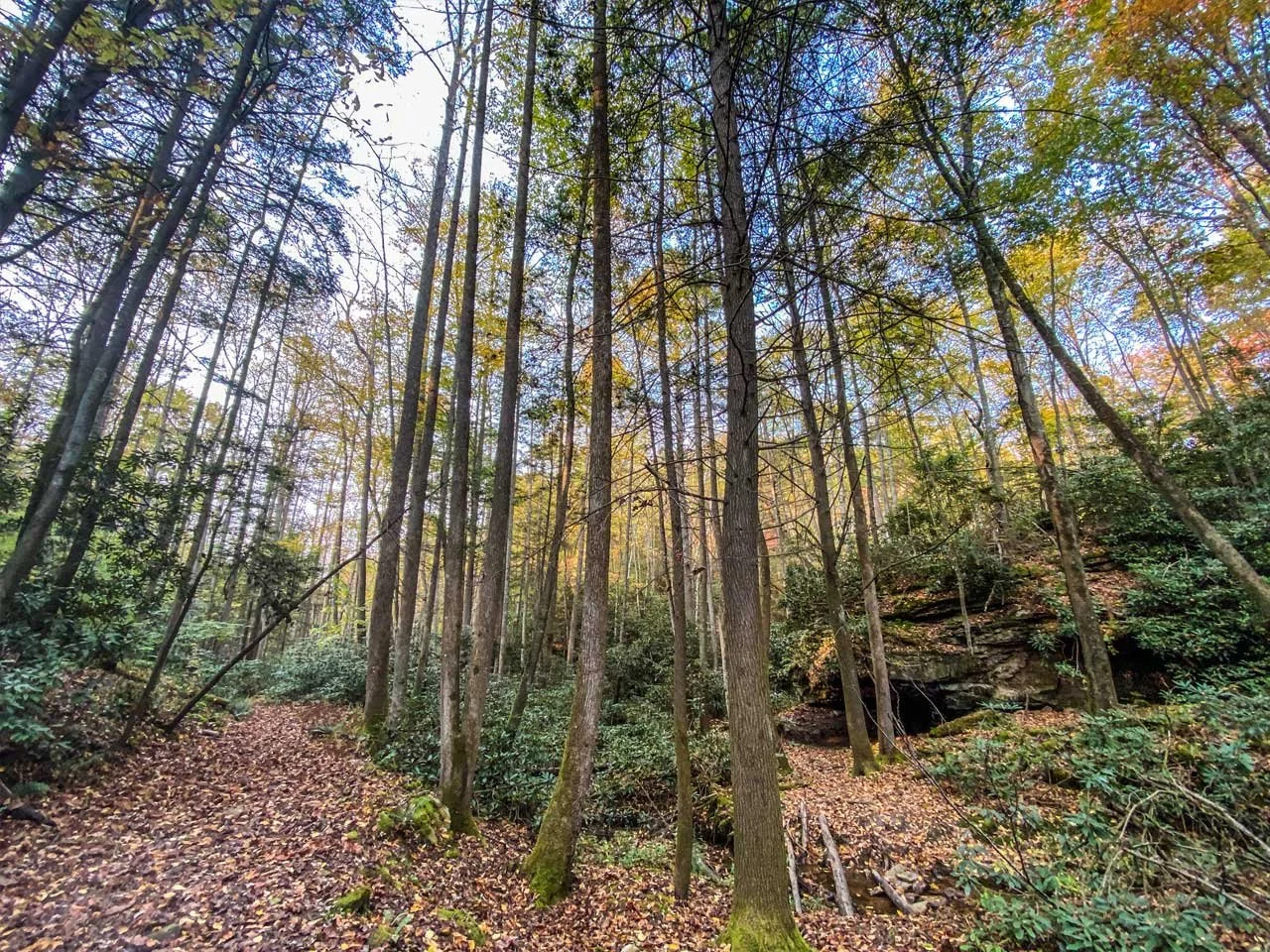 Laurel Branch Trail — Breaks Interstate Park
