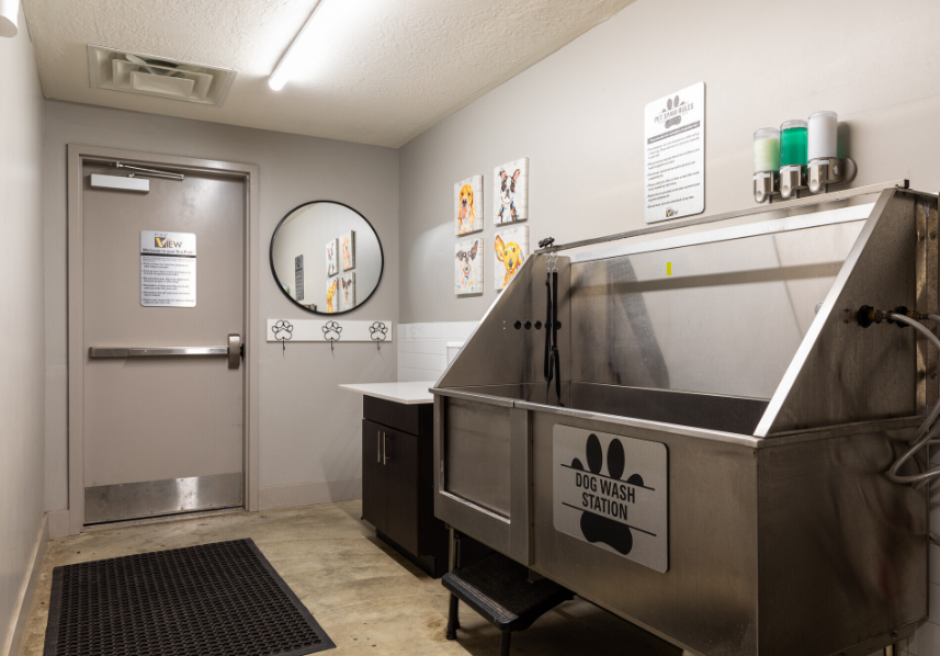 Dog Wash Station.png