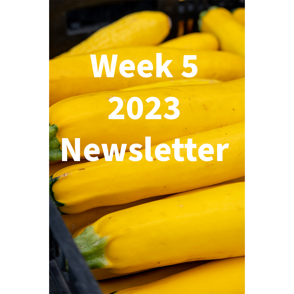 Week 5 2023 