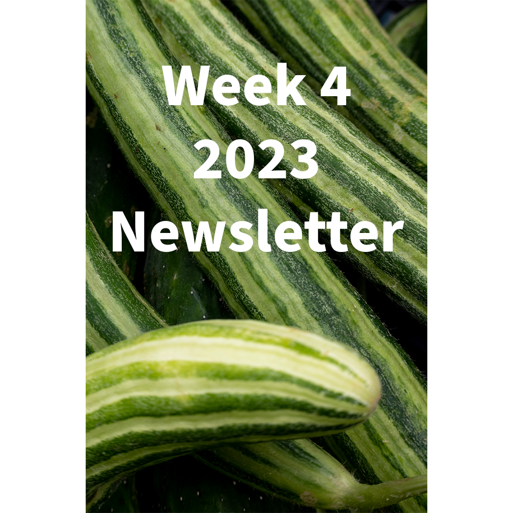 Week 4 2023