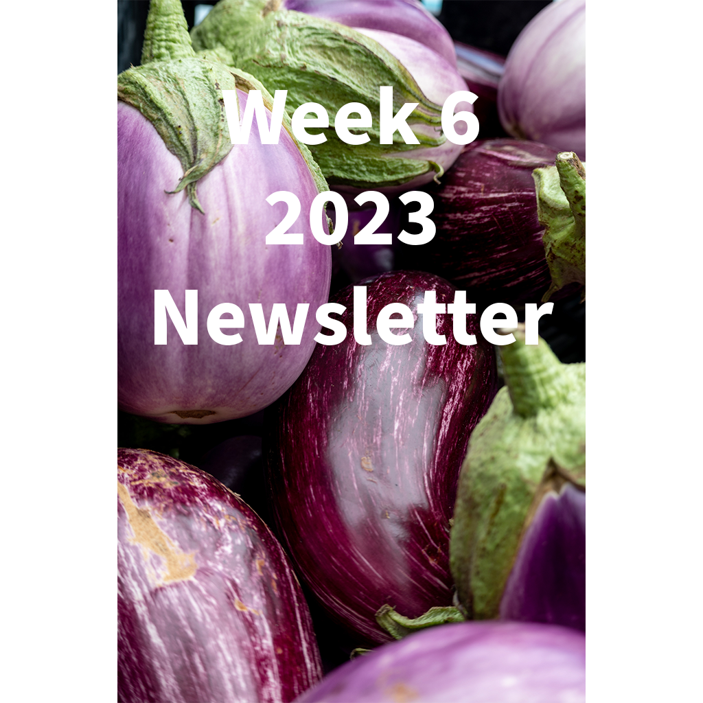 Week 6 2023 