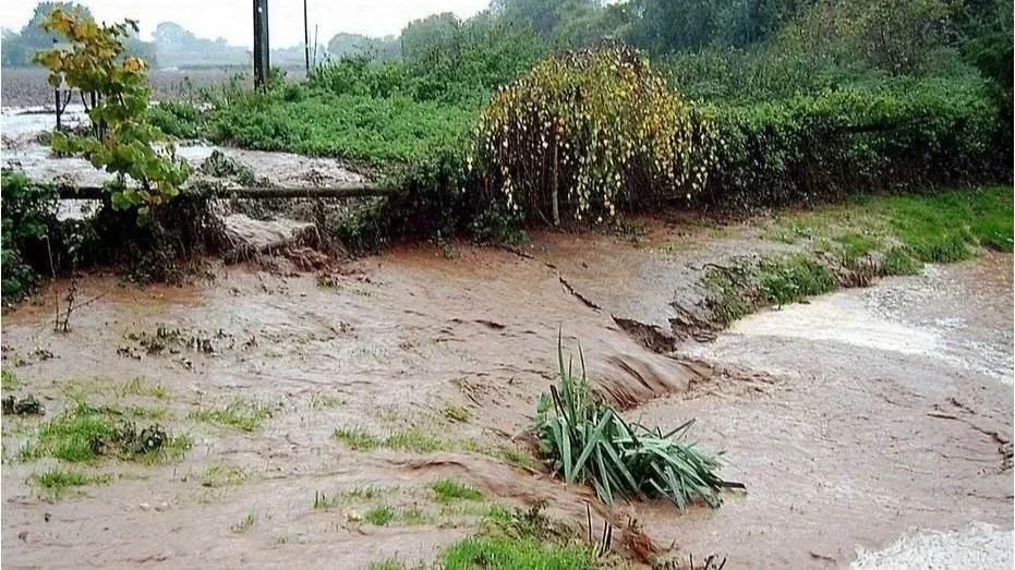 Introducing the Run-off Reporter