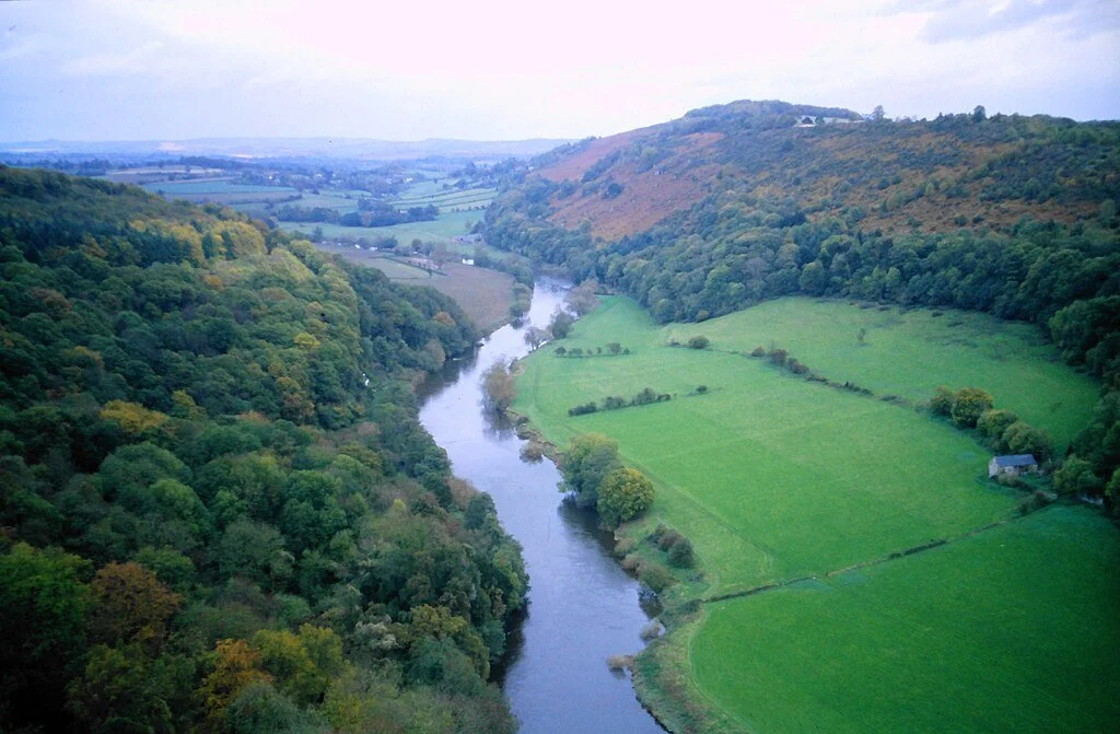 Is the River Wye Alive?