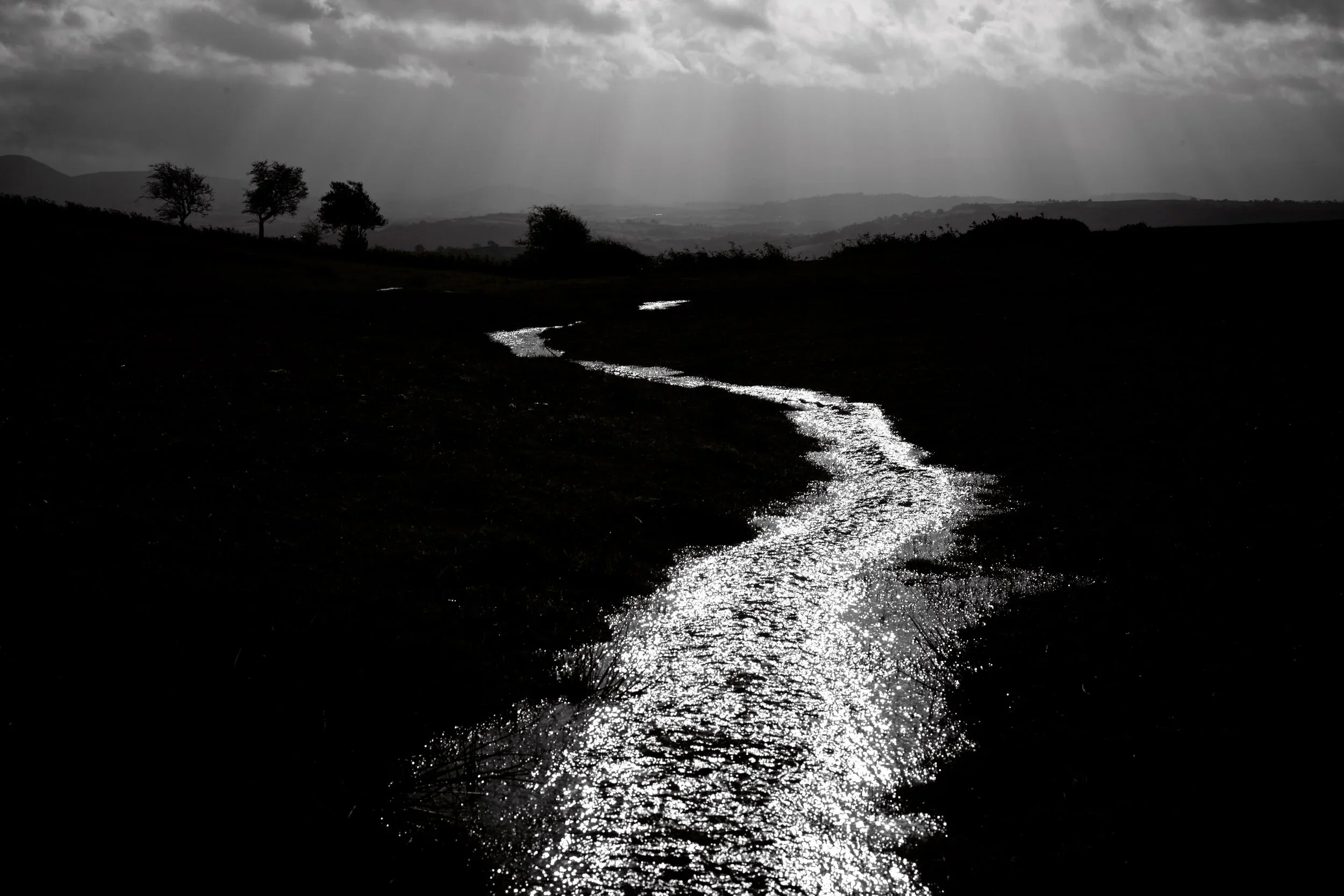 Voice of the Wye speaks