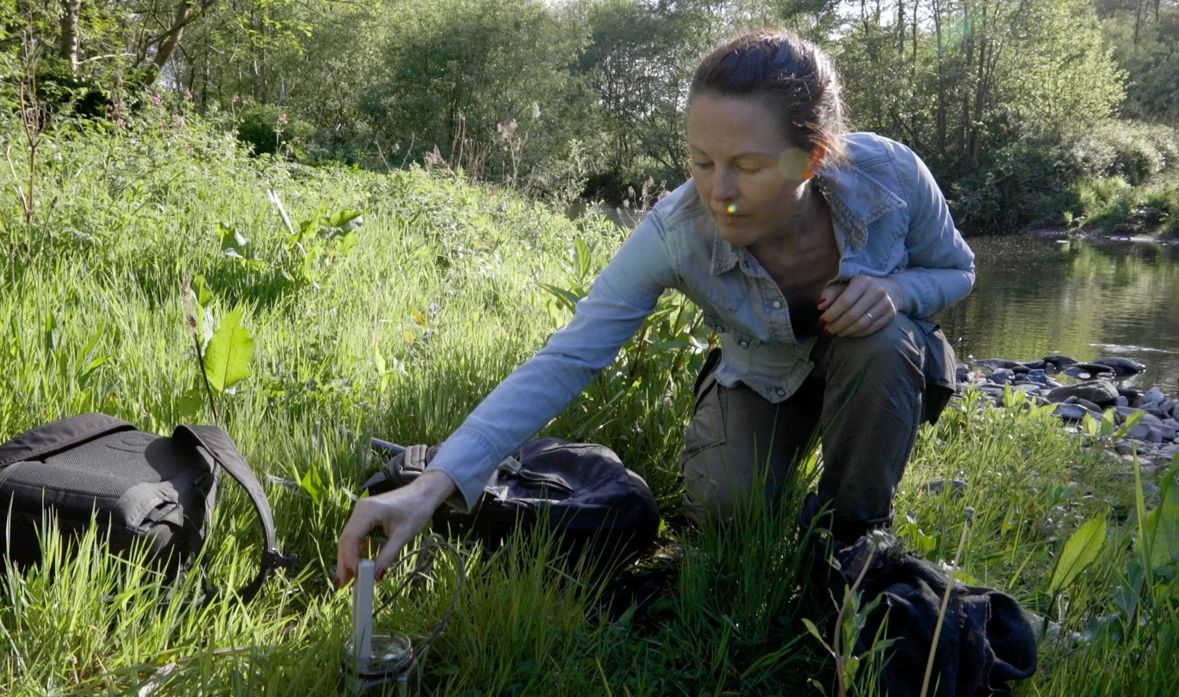 Record water temperatures recorded by our citizen scientists across the catchment