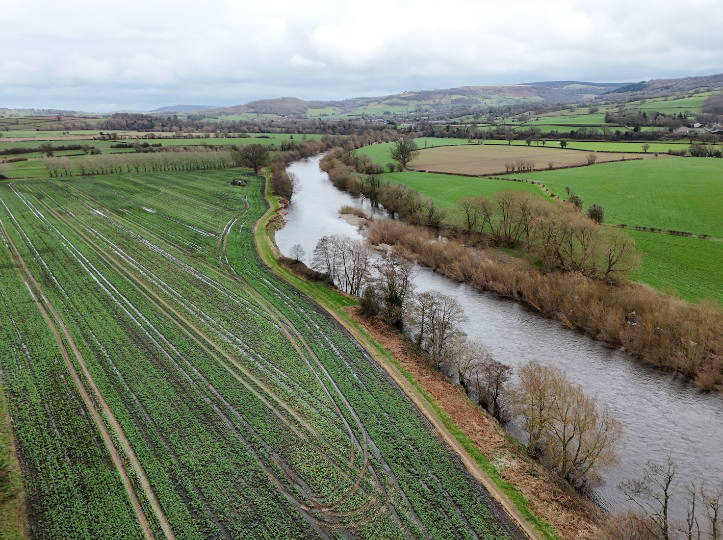 Have your say on the future of Wales’ freshwater