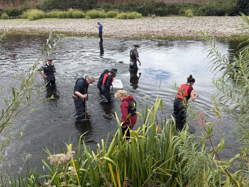 Macrophyte training begins - Ranunculus Project