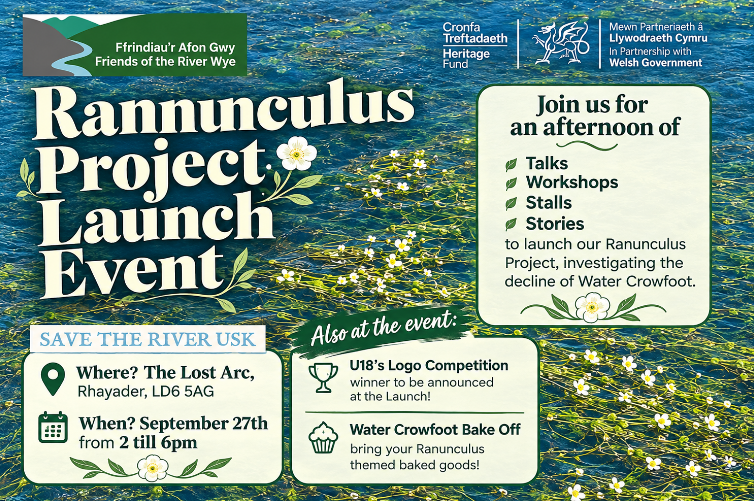 Join us - Ranunculus Project Launch - Sunday 27th September - Rhayader - 2pm 