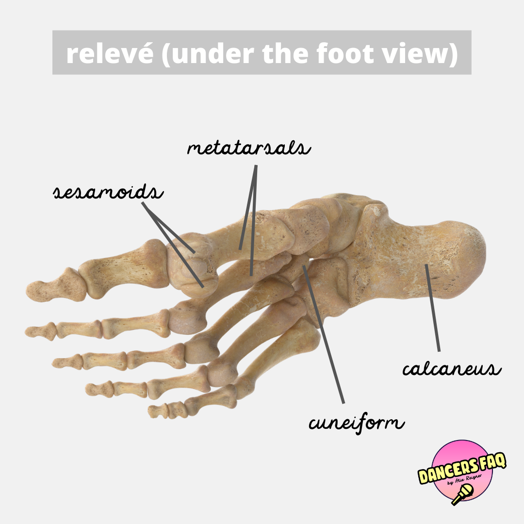 walking and rolling the foot.png