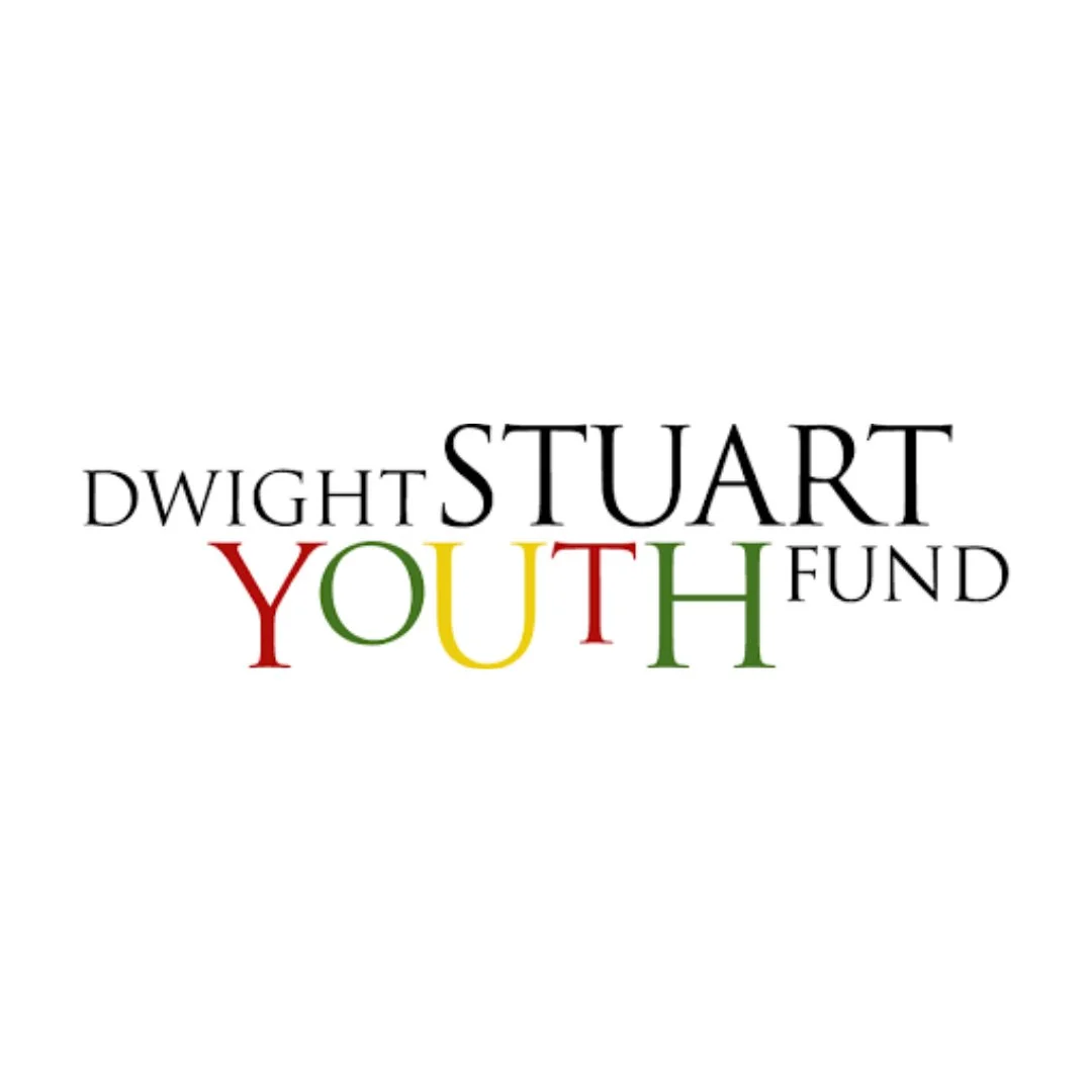 Dwight Stuart Youth Fund logo