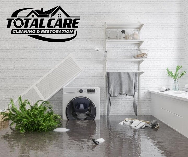 From upholstery &amp; carpet cleaning to water damage restoration, Total Care Cleaning &amp; Restoration of Iowa City is who you call to get the job done right.

https://www.totalcareiowa.com/
