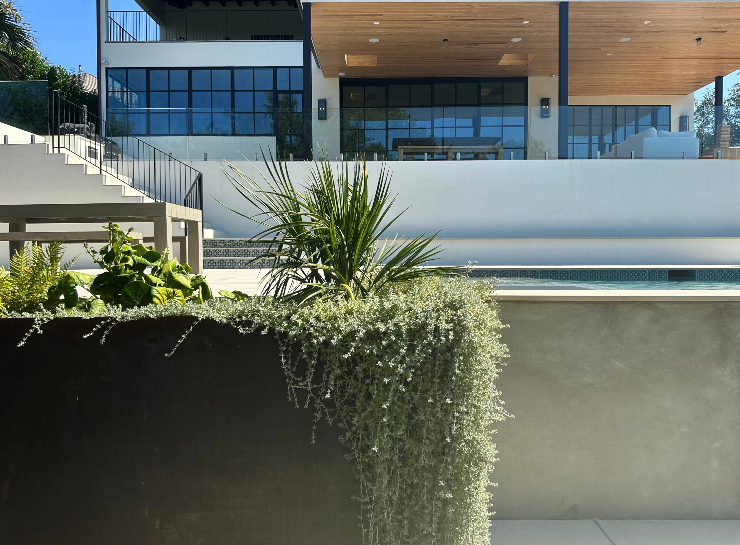 Native drought-tolerant landscaping spilling over a corten steel planter beside a modern pool