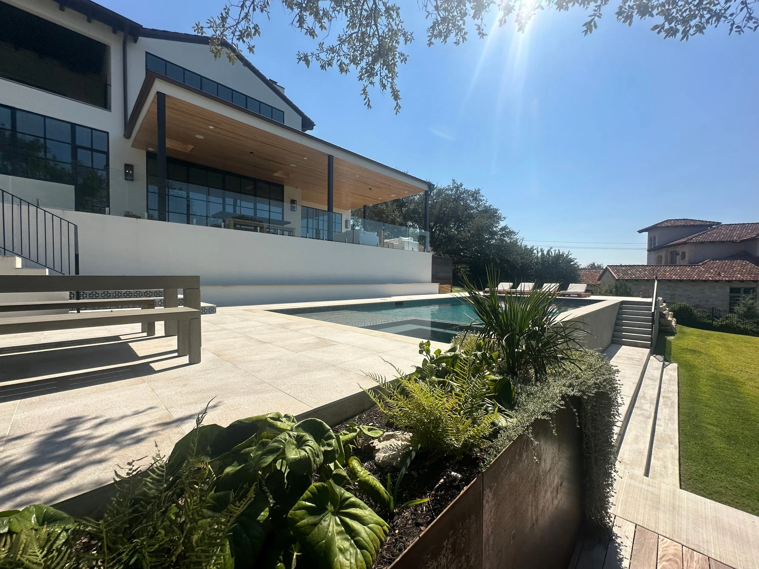 Modern pool and buff Lueders patio framed by native ferns and palms in a corten steel planter beside a contemporary home