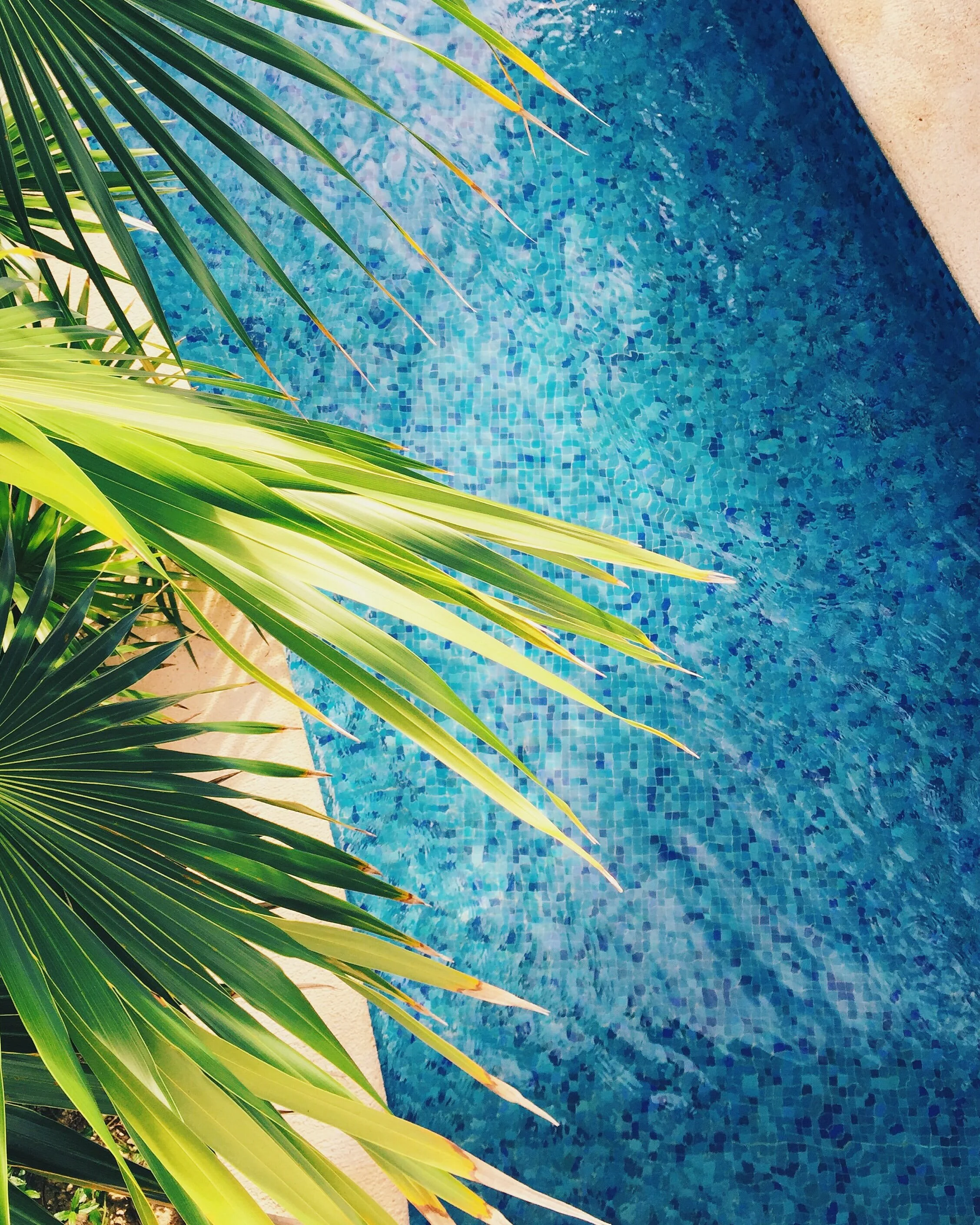 Pool Design — Pool Sharp - Pool Builders in Austin, TX