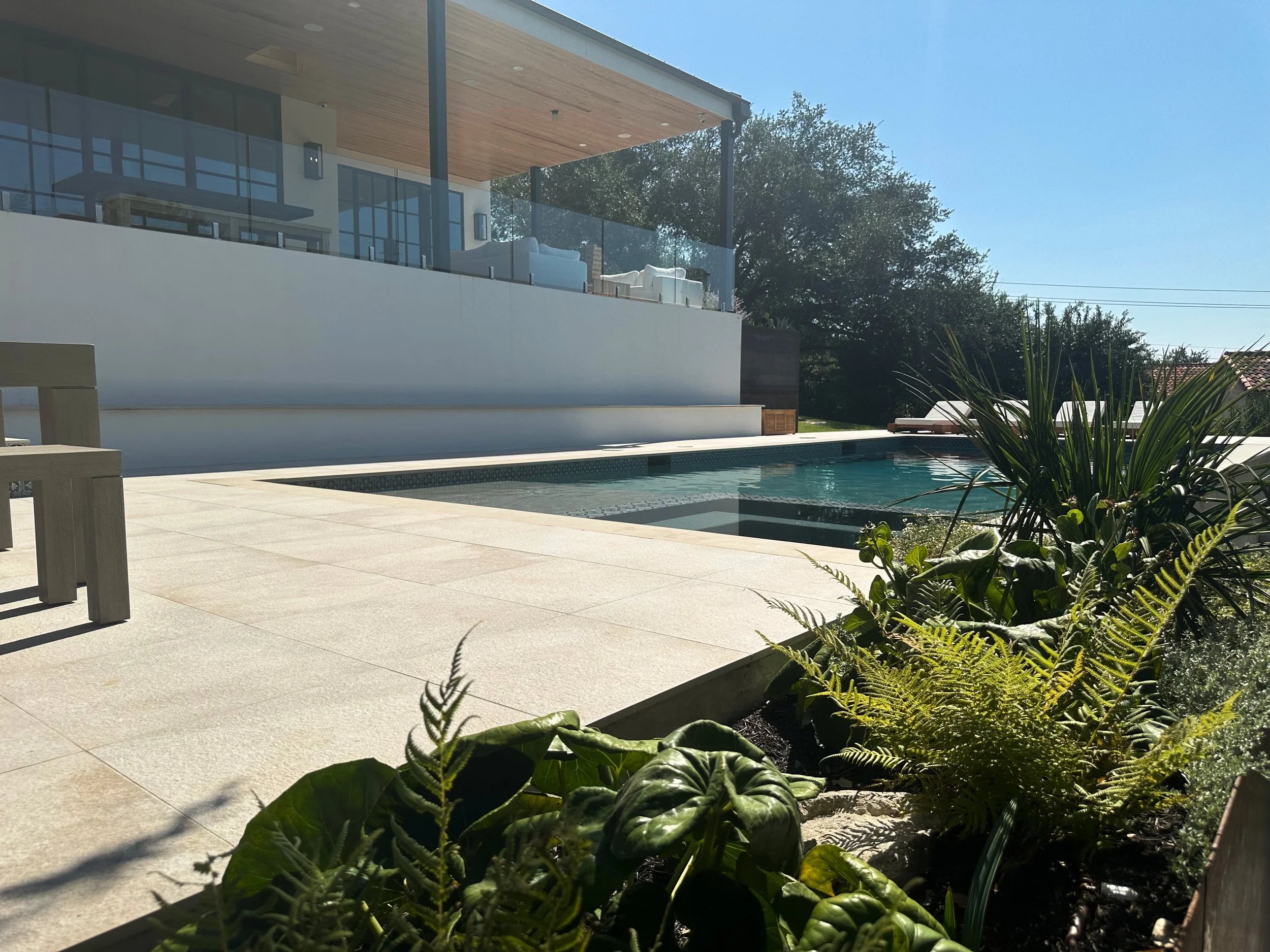 Modern pool and buff Lueders deck framed by ferns and native Hill Country garden beds