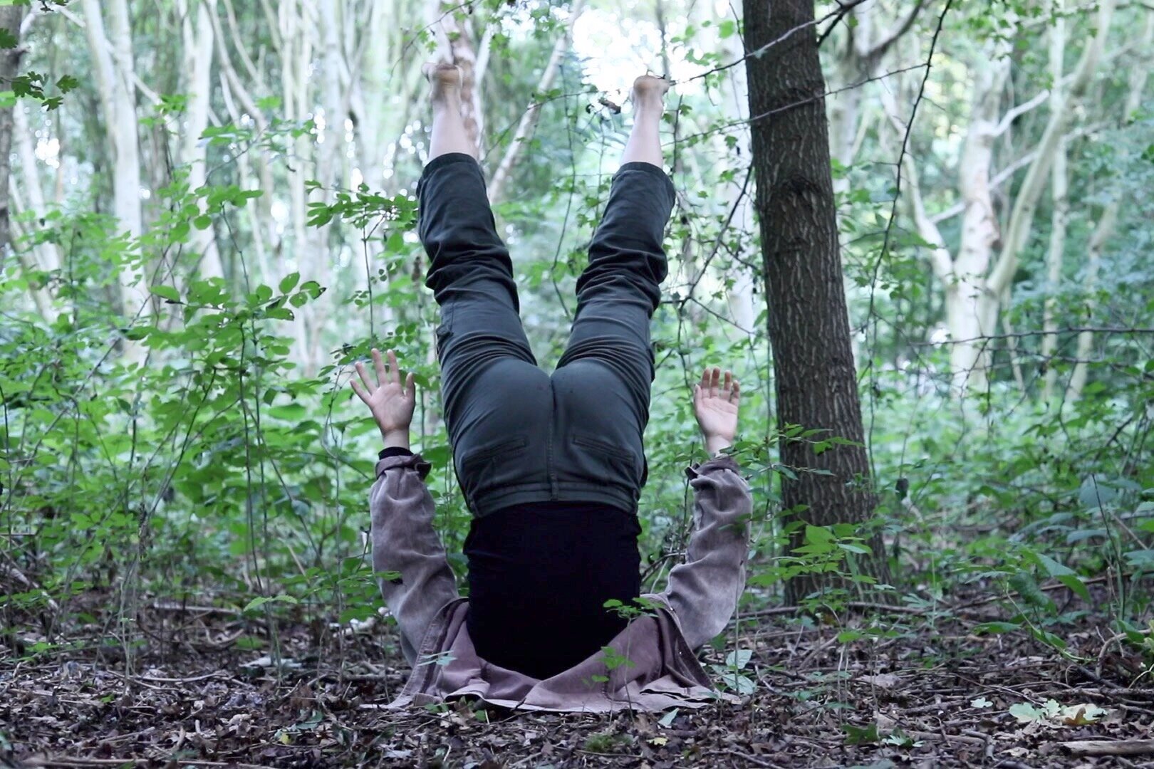 a whisper in the order of things - film