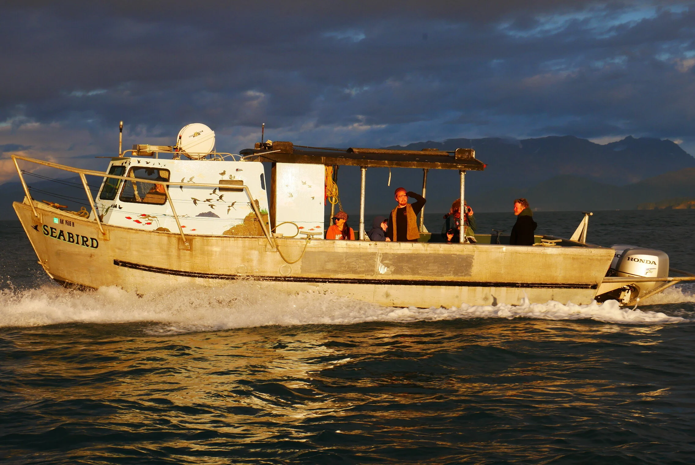 Large Capacity Water Taxi — Seabird Ventures