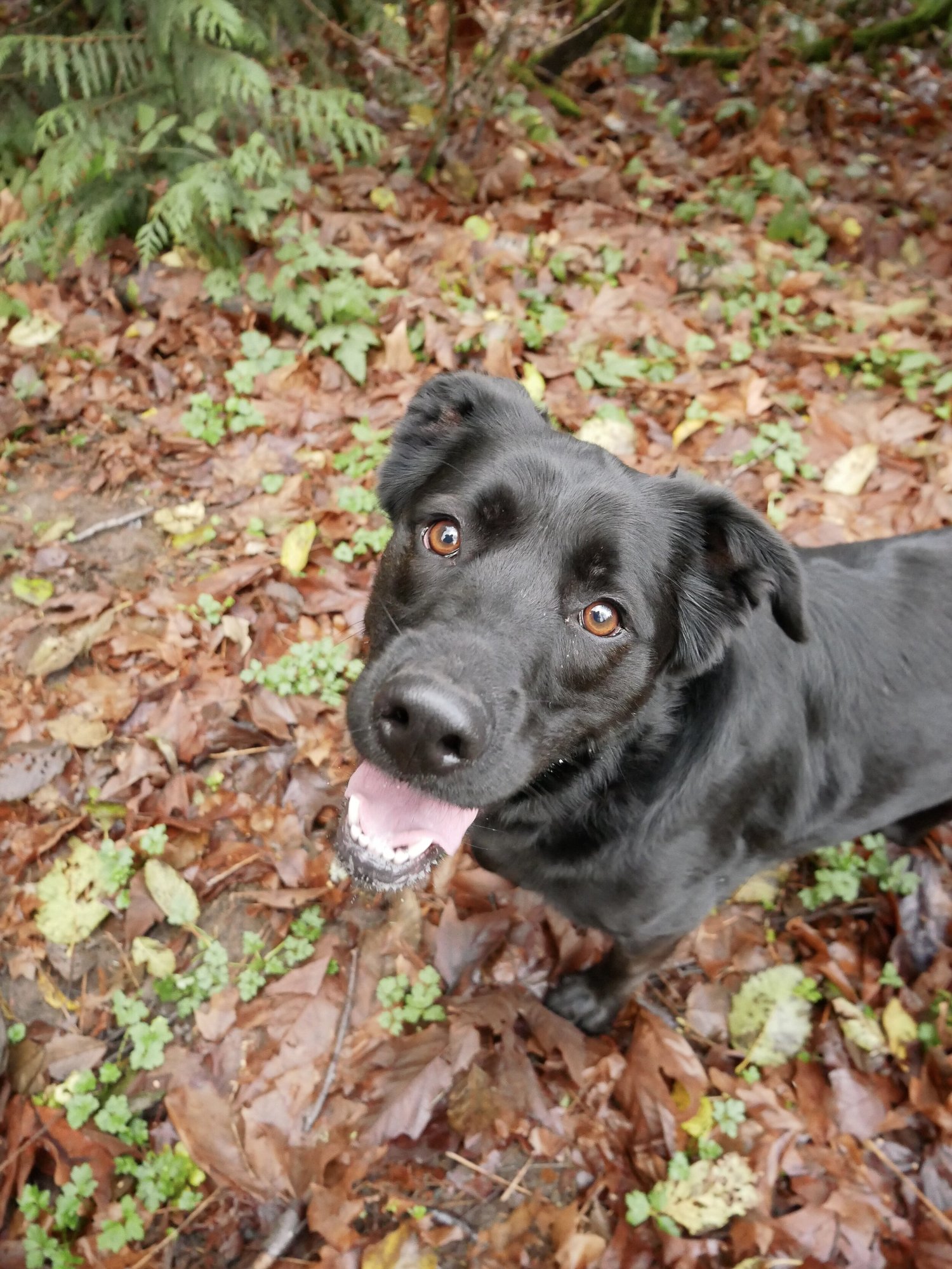 About Us — Seabird Ventures