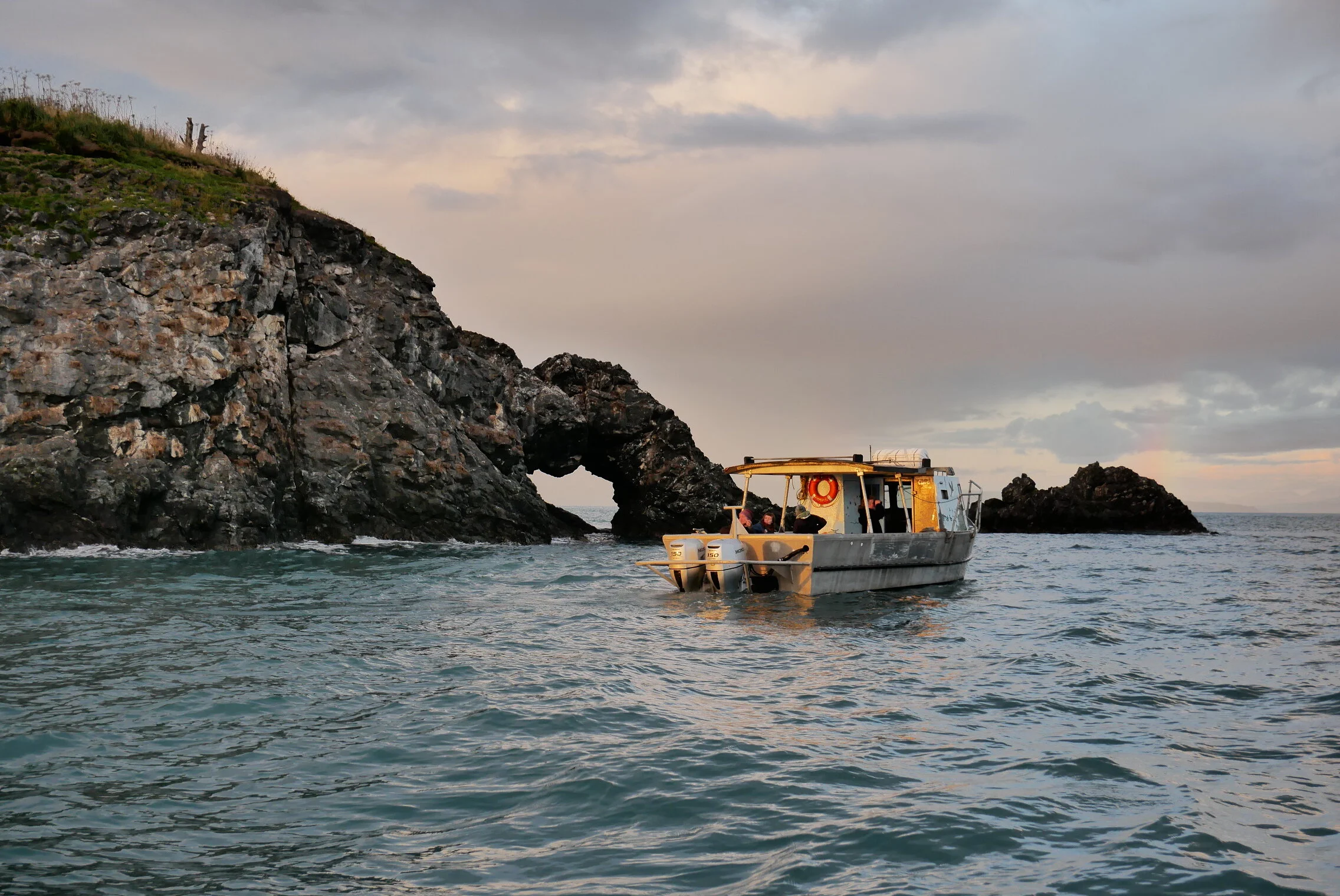 Large Capacity Water Taxi — Seabird Ventures