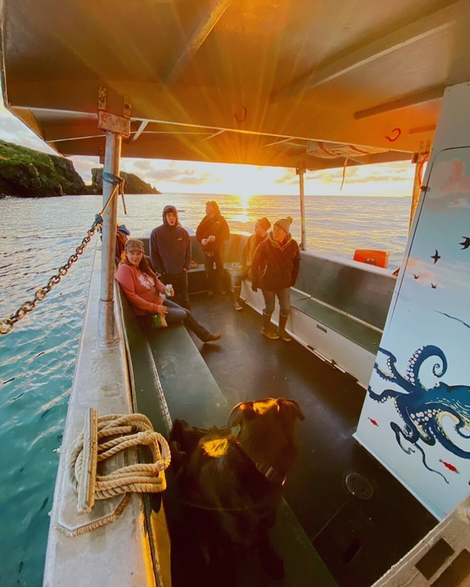 Our spacious back deck with round table seating offers gorgeous views from every angle and is ideal for spotting Alaskan wildlife. We are USCG inspected to carry 16 passengers, so check our website or contact us for our availabilities on a memorable 