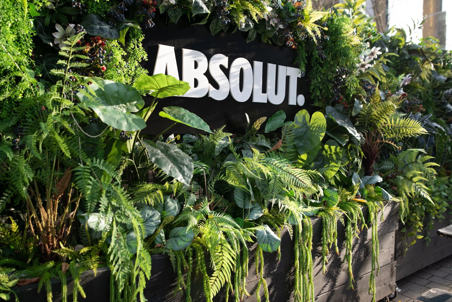 Absolut.