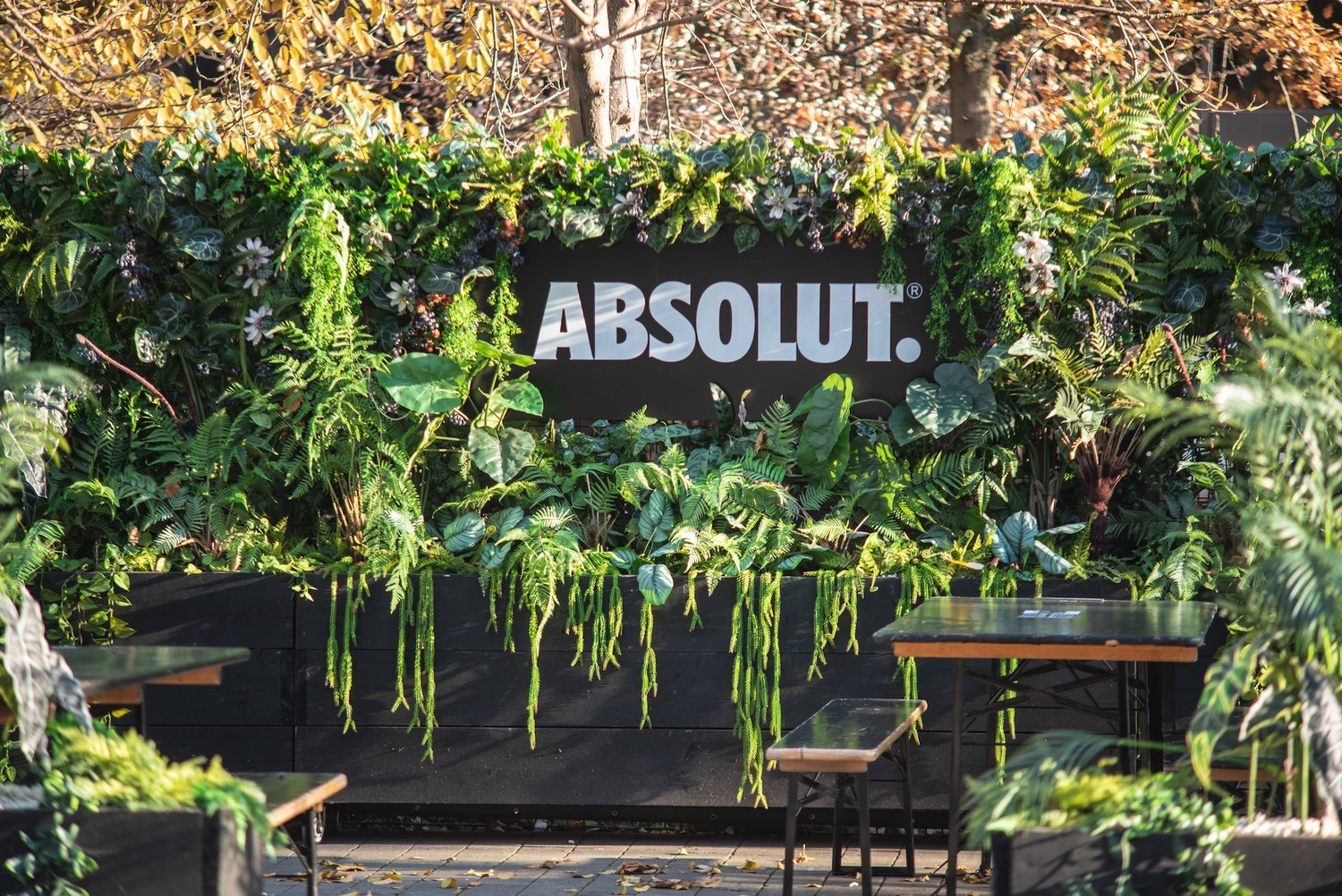 Absolut., Boxpark Wembley