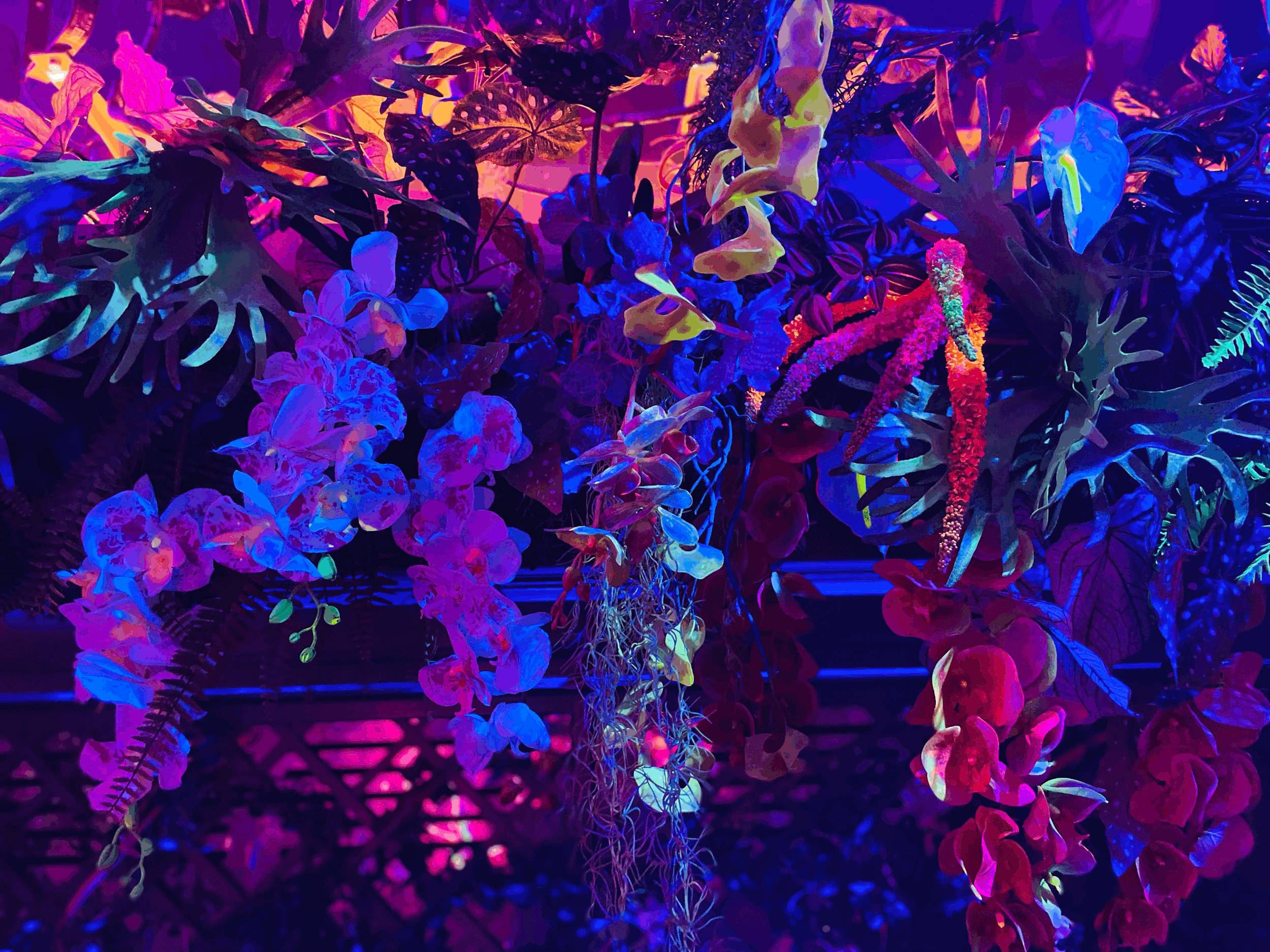 Annabel's Alien Invasion 