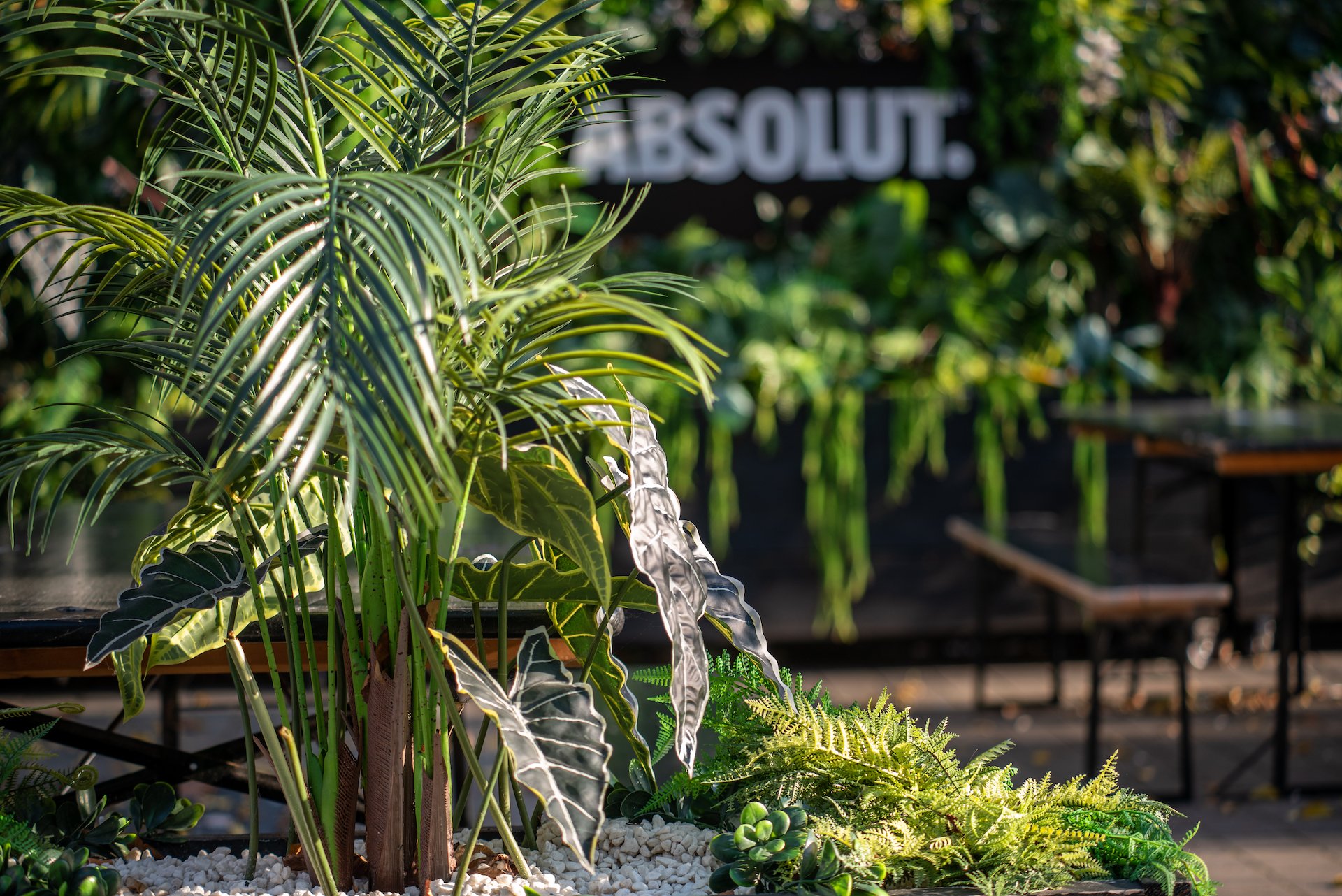 ABSOLUT., Boxpark Wembley