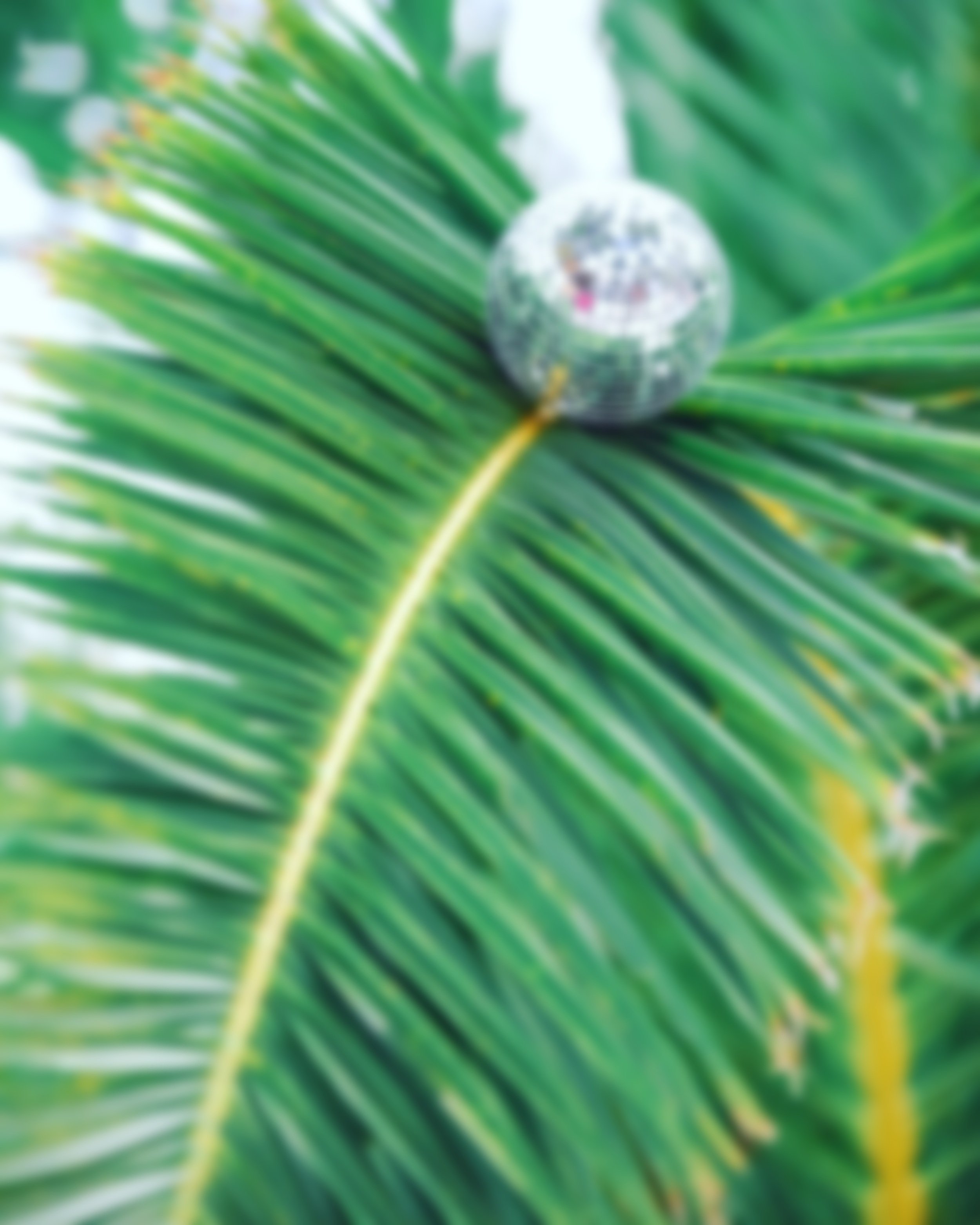 Showcasing bold, vibrant event decor, featuring colorful bunting, lush artificial plants, handcrafted props, and immersive designs that transform spaces with sustainable creativity.