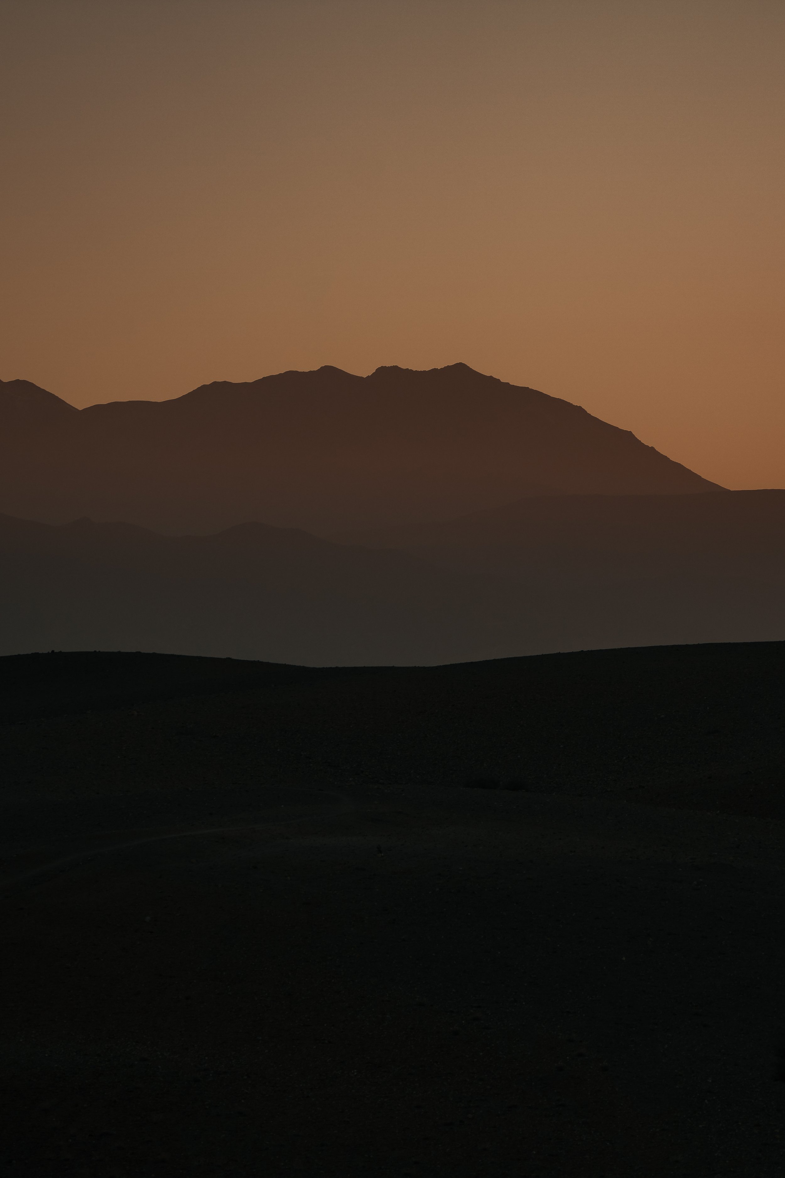 _DSC8663.jpg