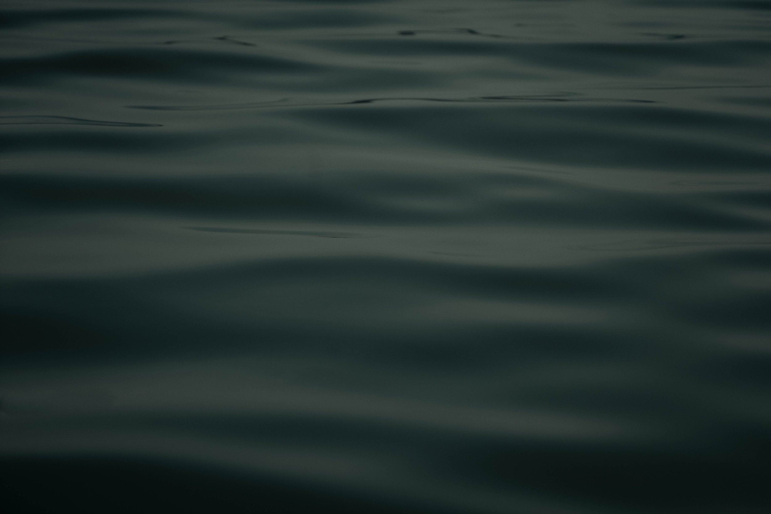 _DSC9318.jpg