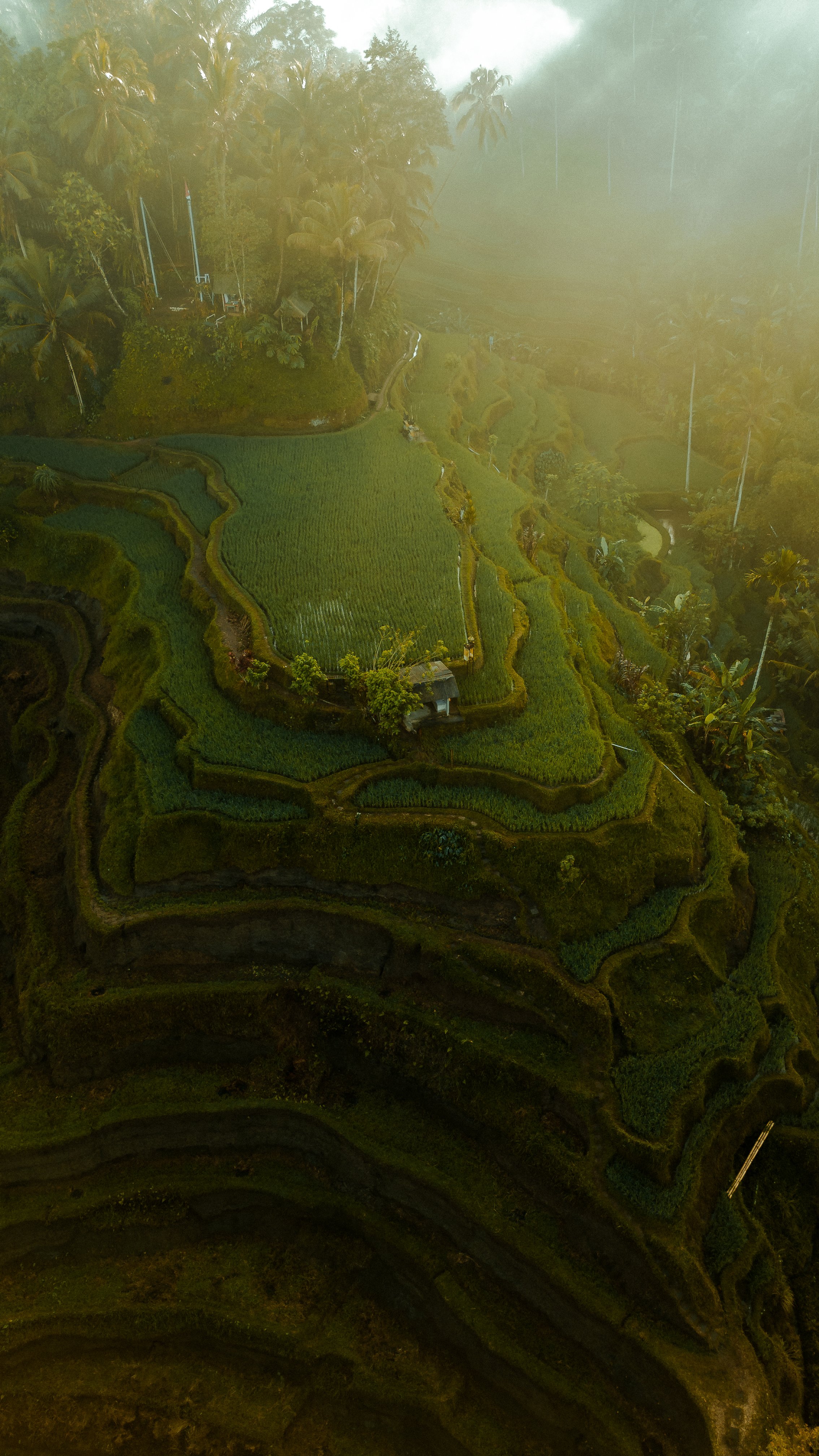 DJI_0180-2.jpg