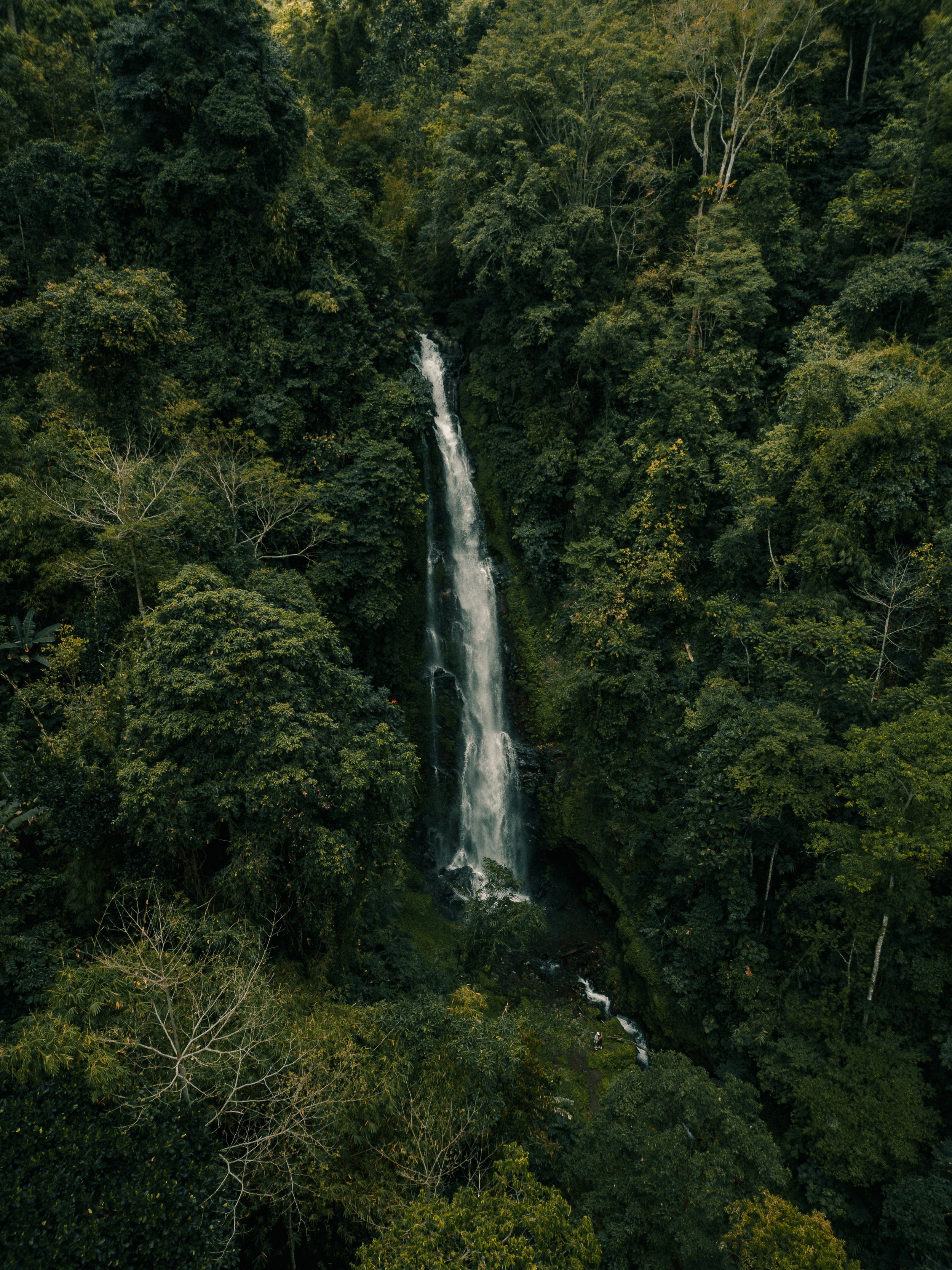 DJI_0114.jpg