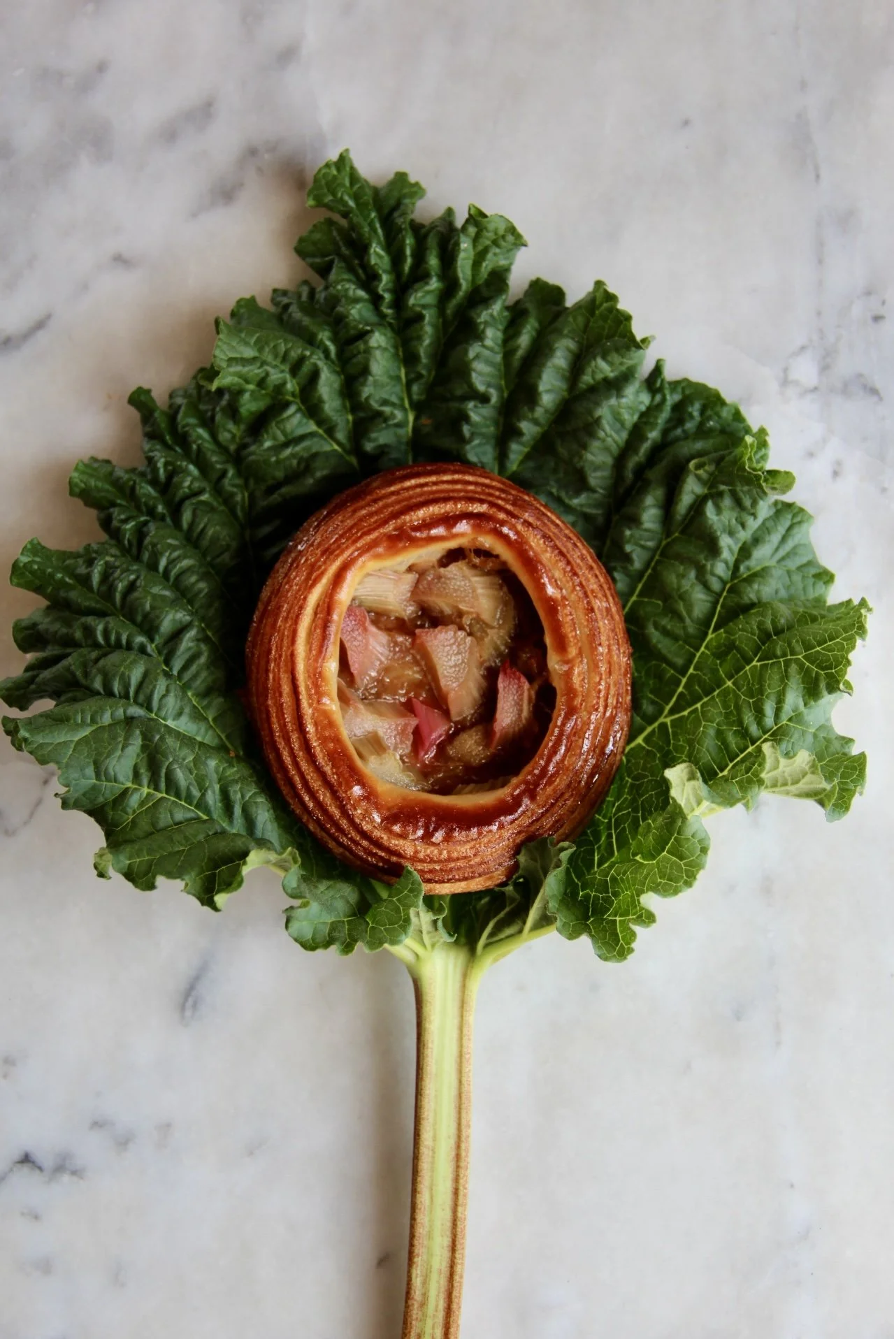 Rhubarb Pastry